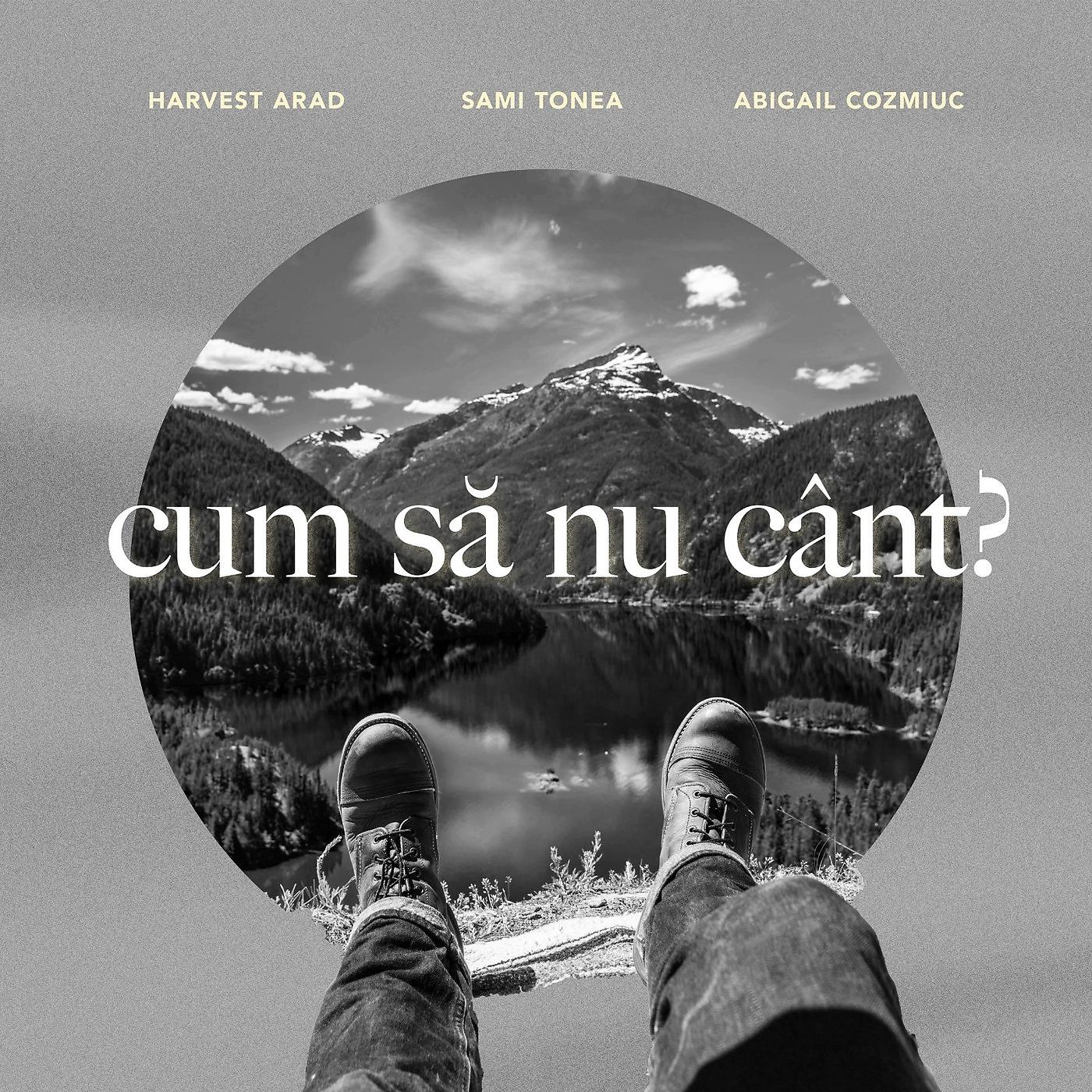 Постер альбома Cum Să Nu Cânt?