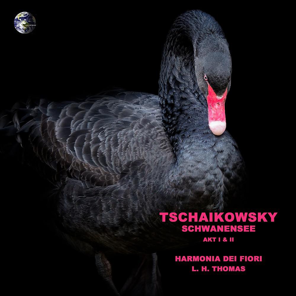 Постер альбома Tschaikowsky Schwanensee