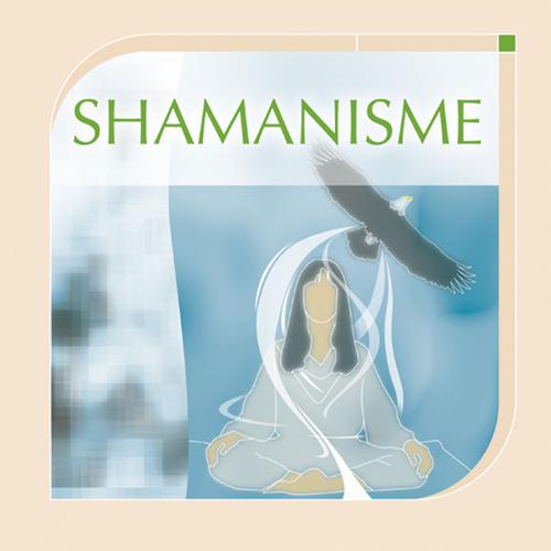 Постер альбома Musiques de soins: shamanisme