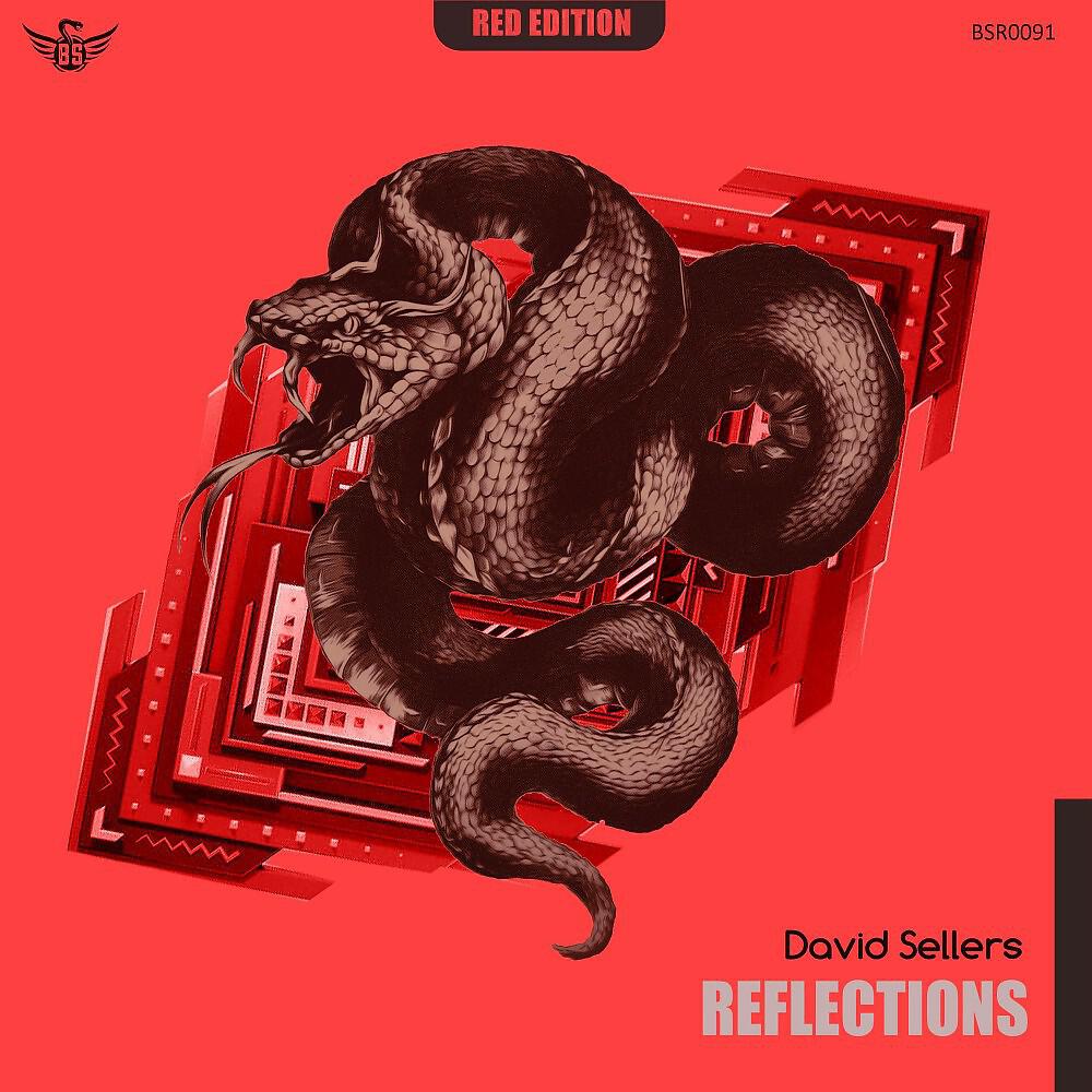 David Sellers - Reflections