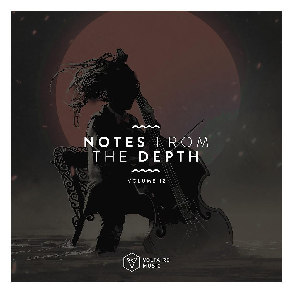 Постер альбома Notes from the Depth, Vol. 12