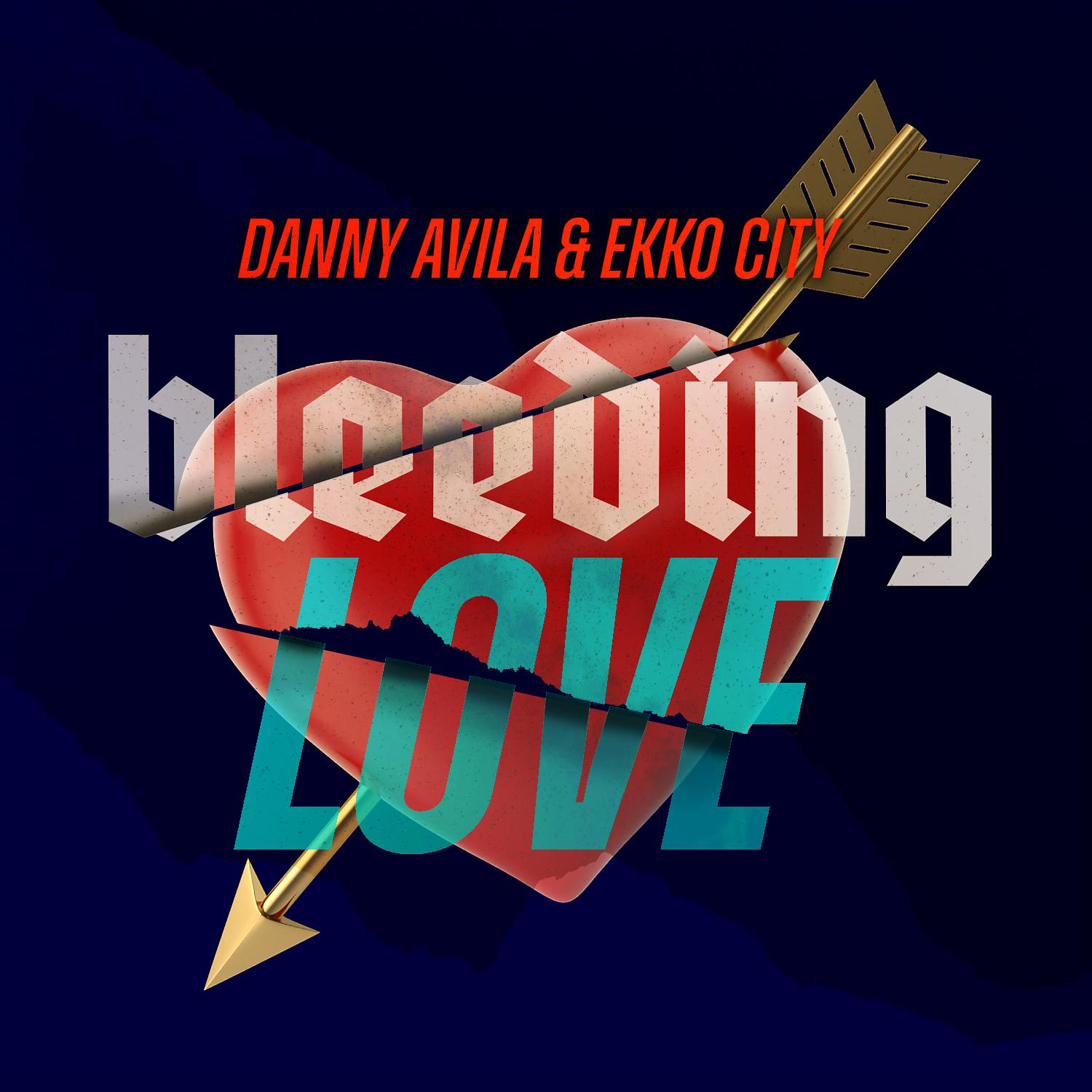 Постер альбома Bleeding Love