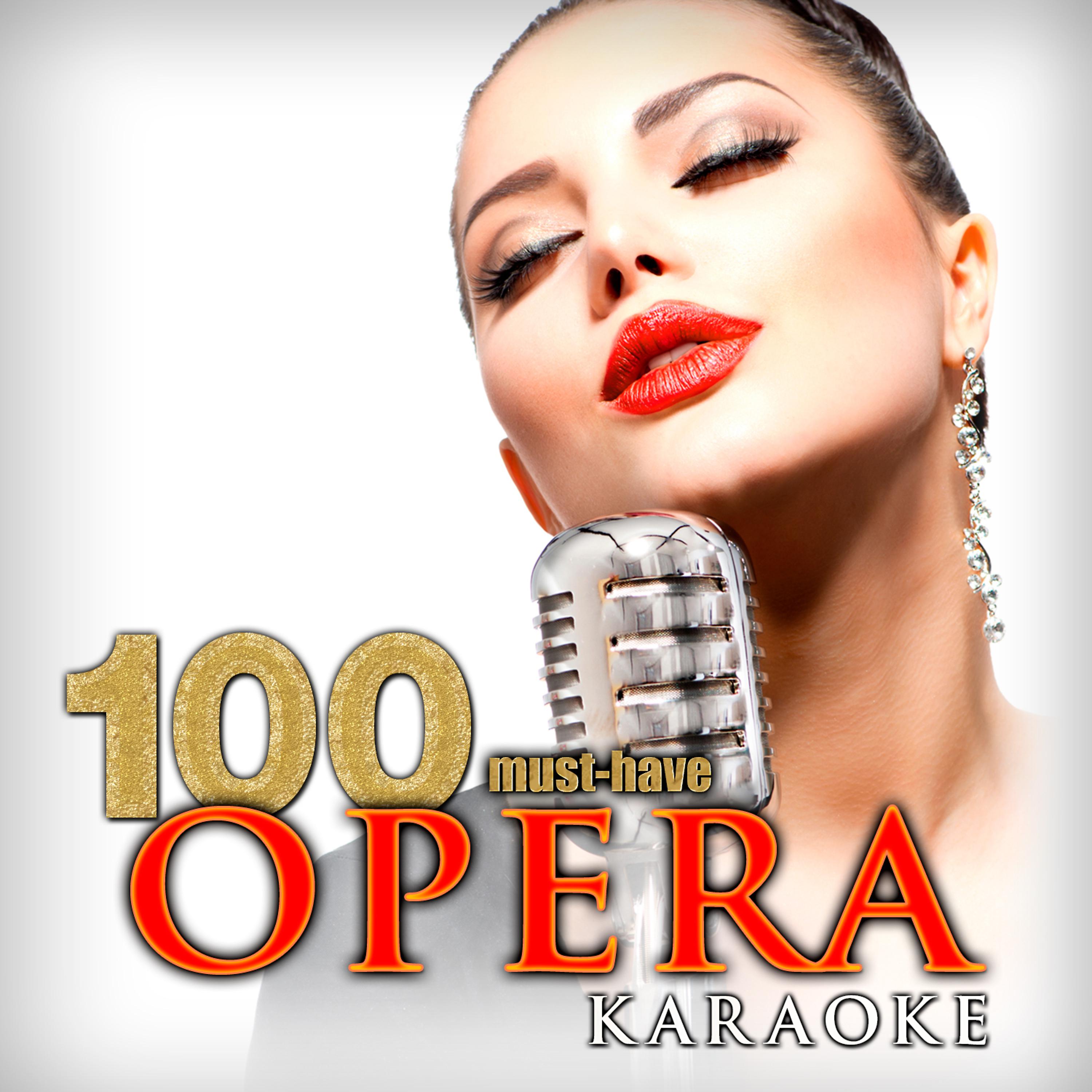 Постер альбома 100 Must-Have Opera Karaoke
