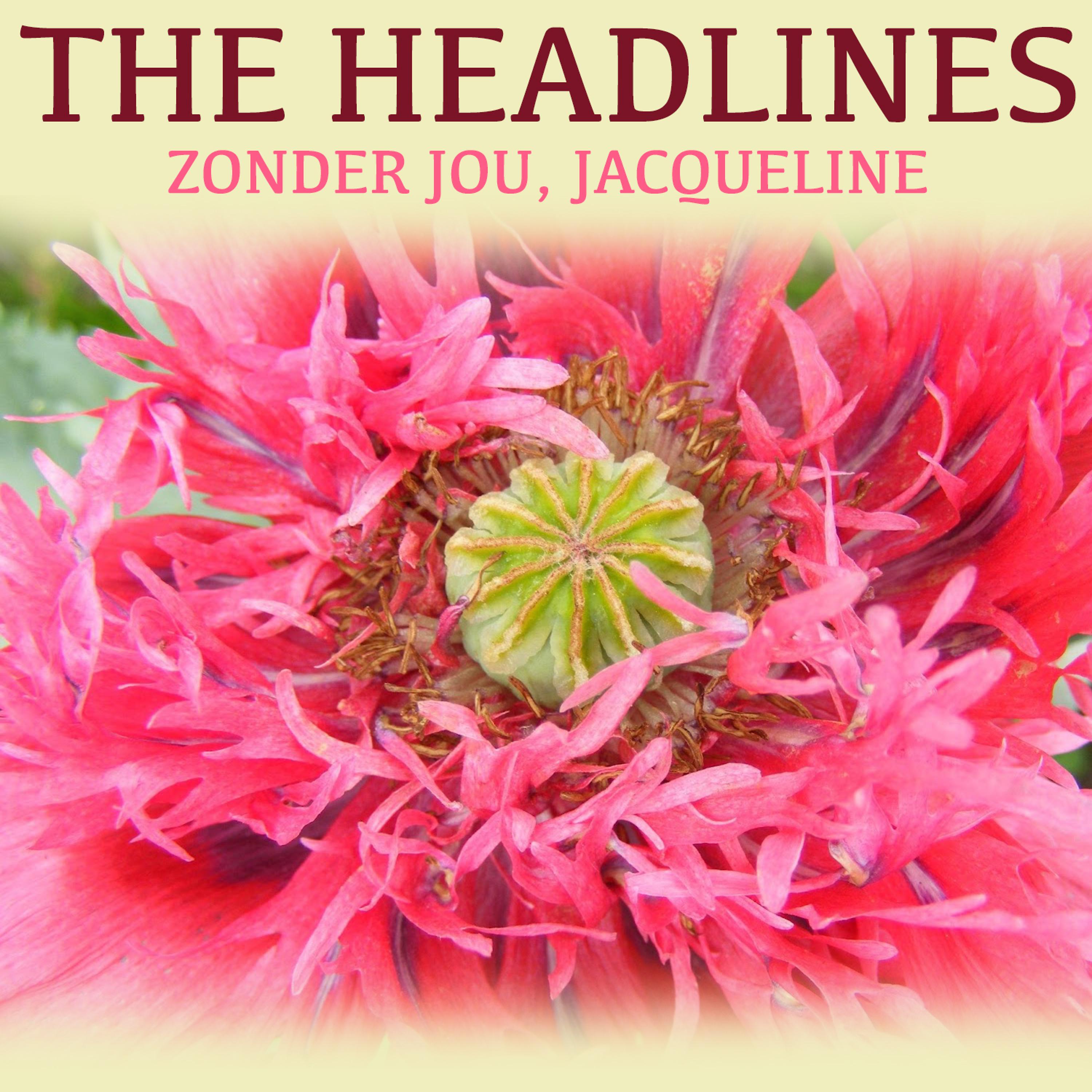 Постер альбома Zonder Jou, Jacqueline