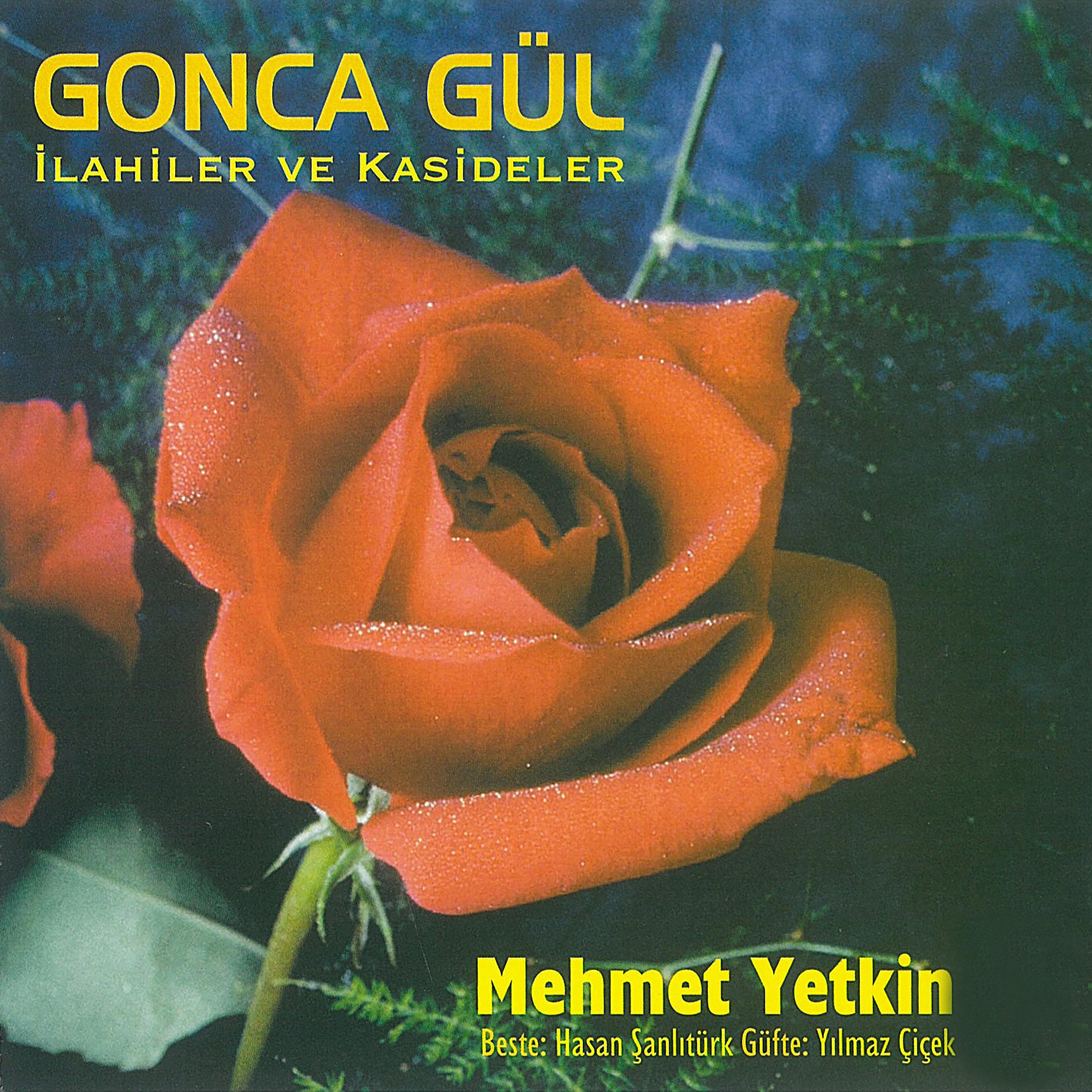 Постер альбома Gonca gül / İlahi ve Kasideler