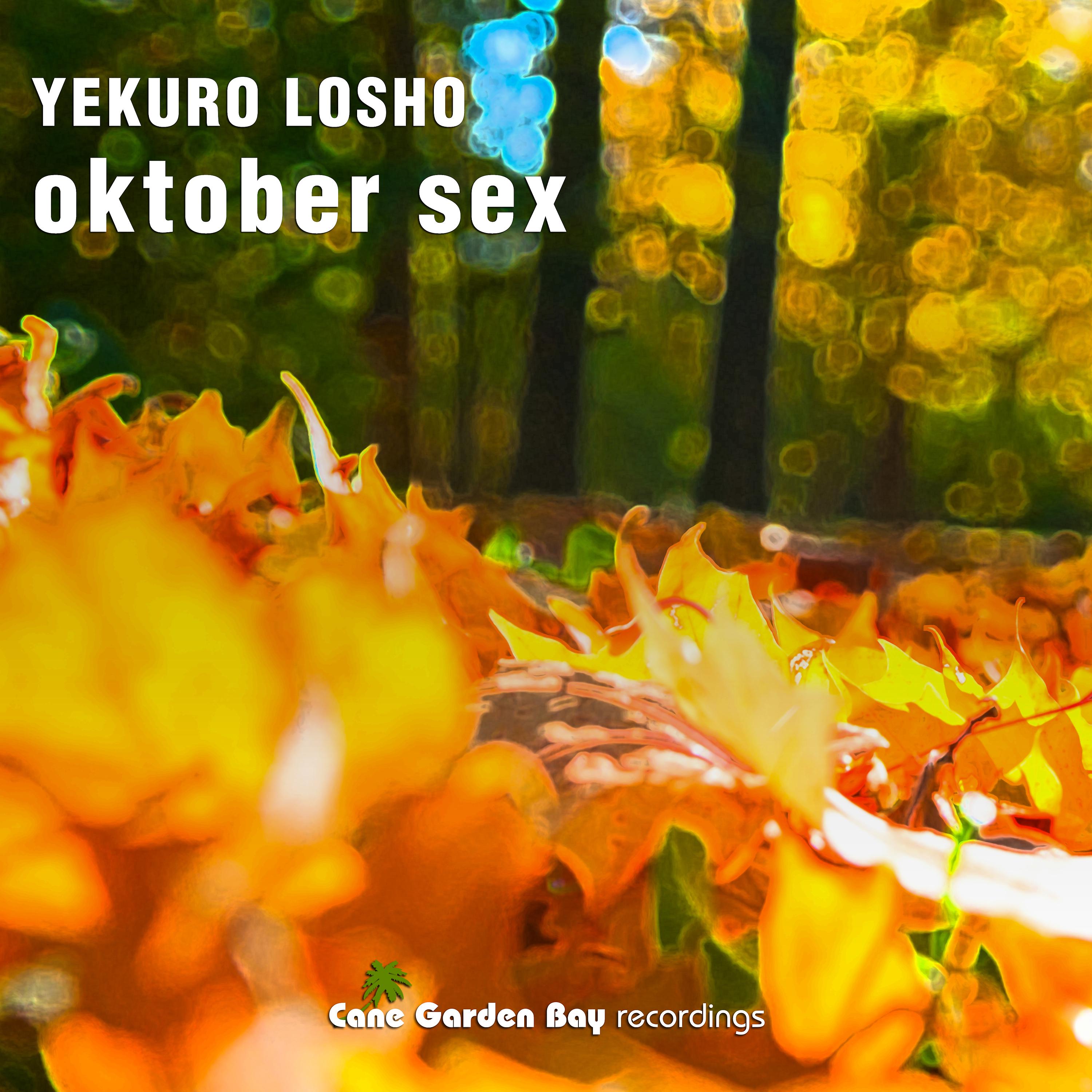 Постер альбома Oktober Sex