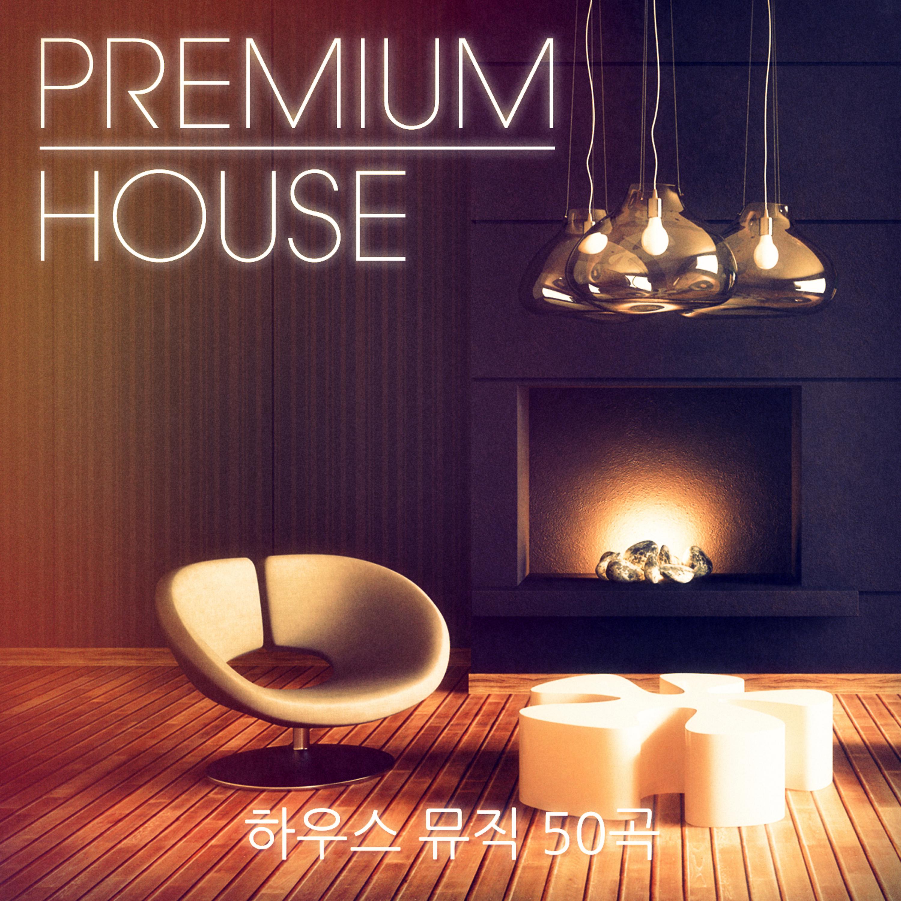 Постер альбома Premium House Music, Vol. 3 (유행에 민감한 클러버를 위한 세련된 하우스와 딥 하우스 뮤직)