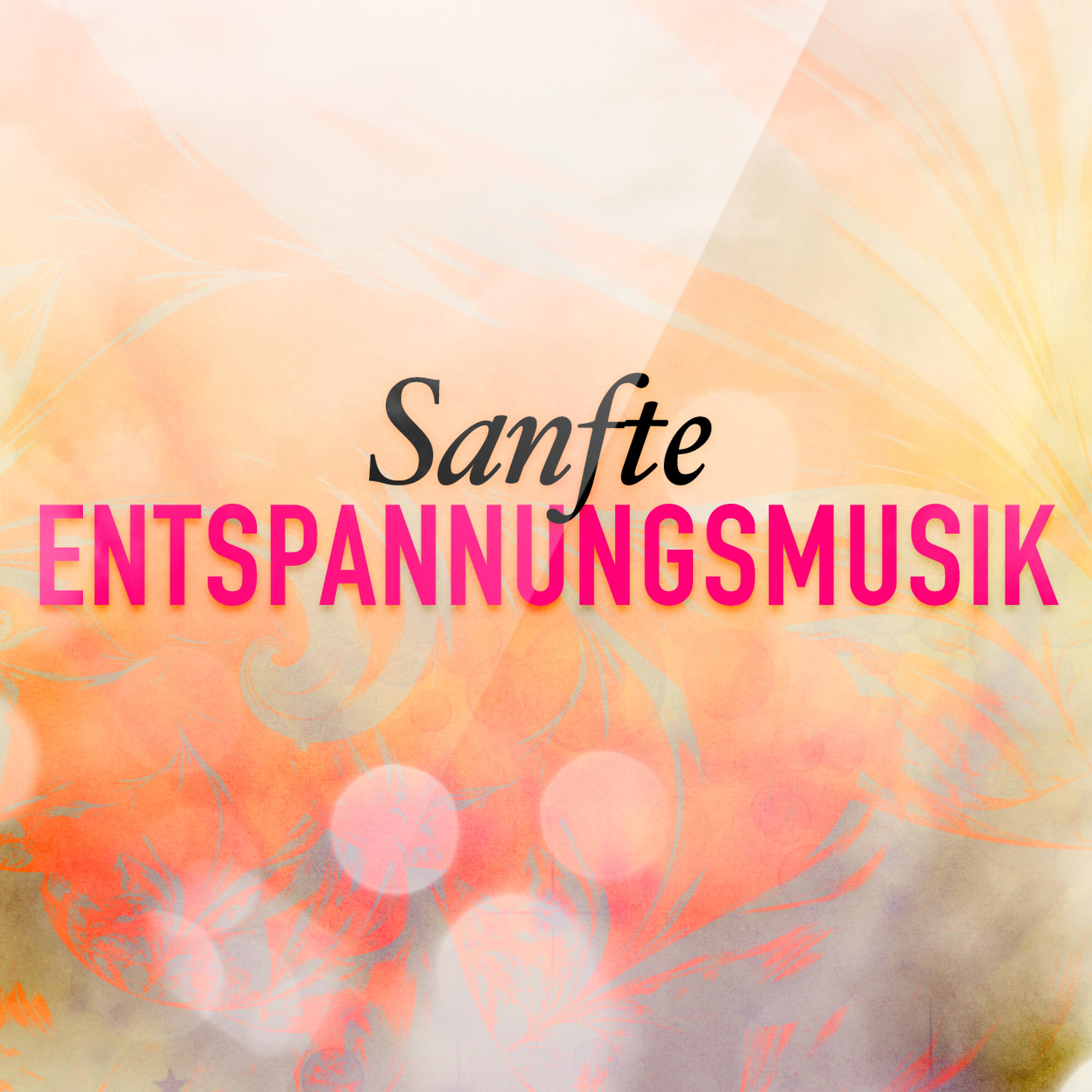 Постер альбома Sanfte Entspannungsmusik