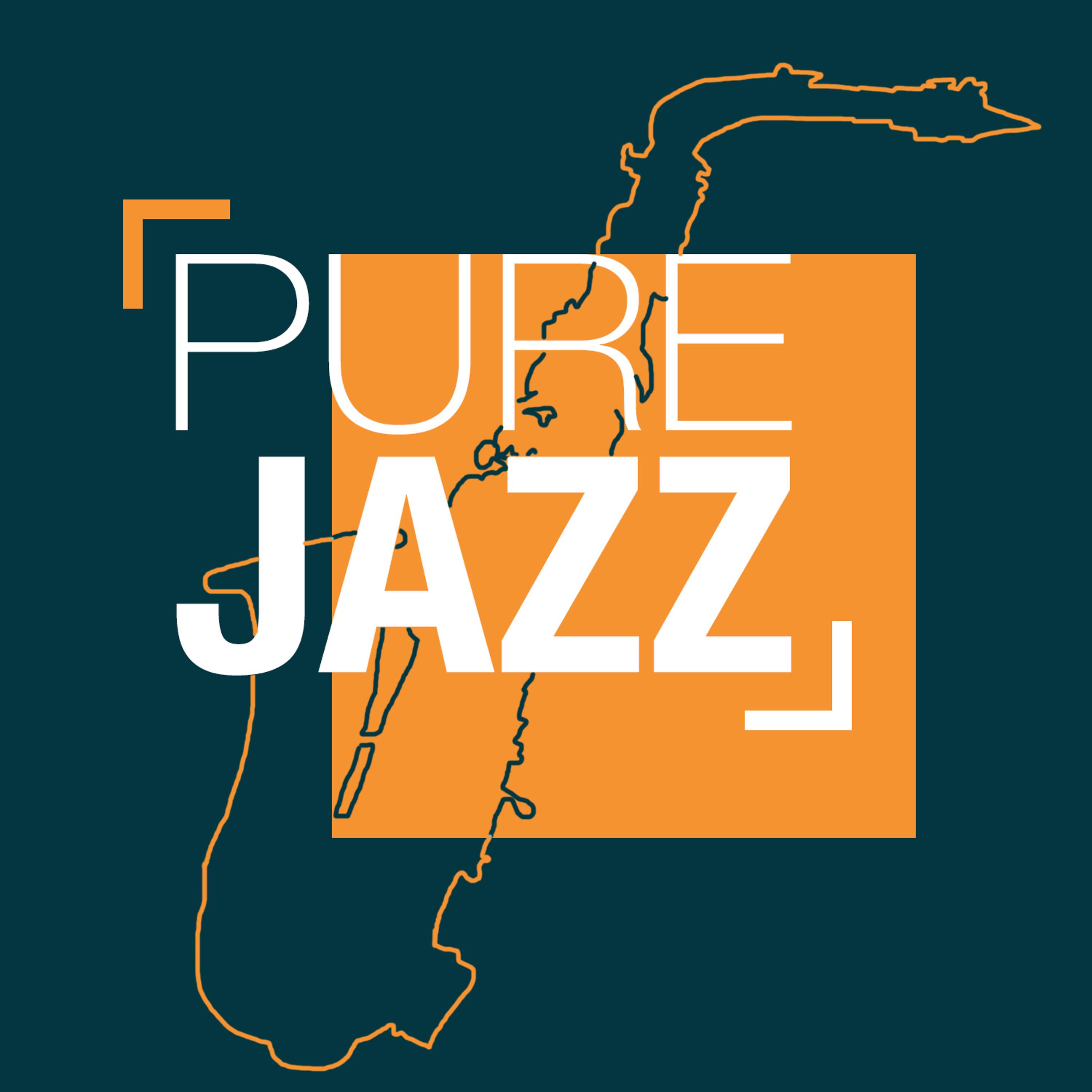 Постер альбома Pure Jazz