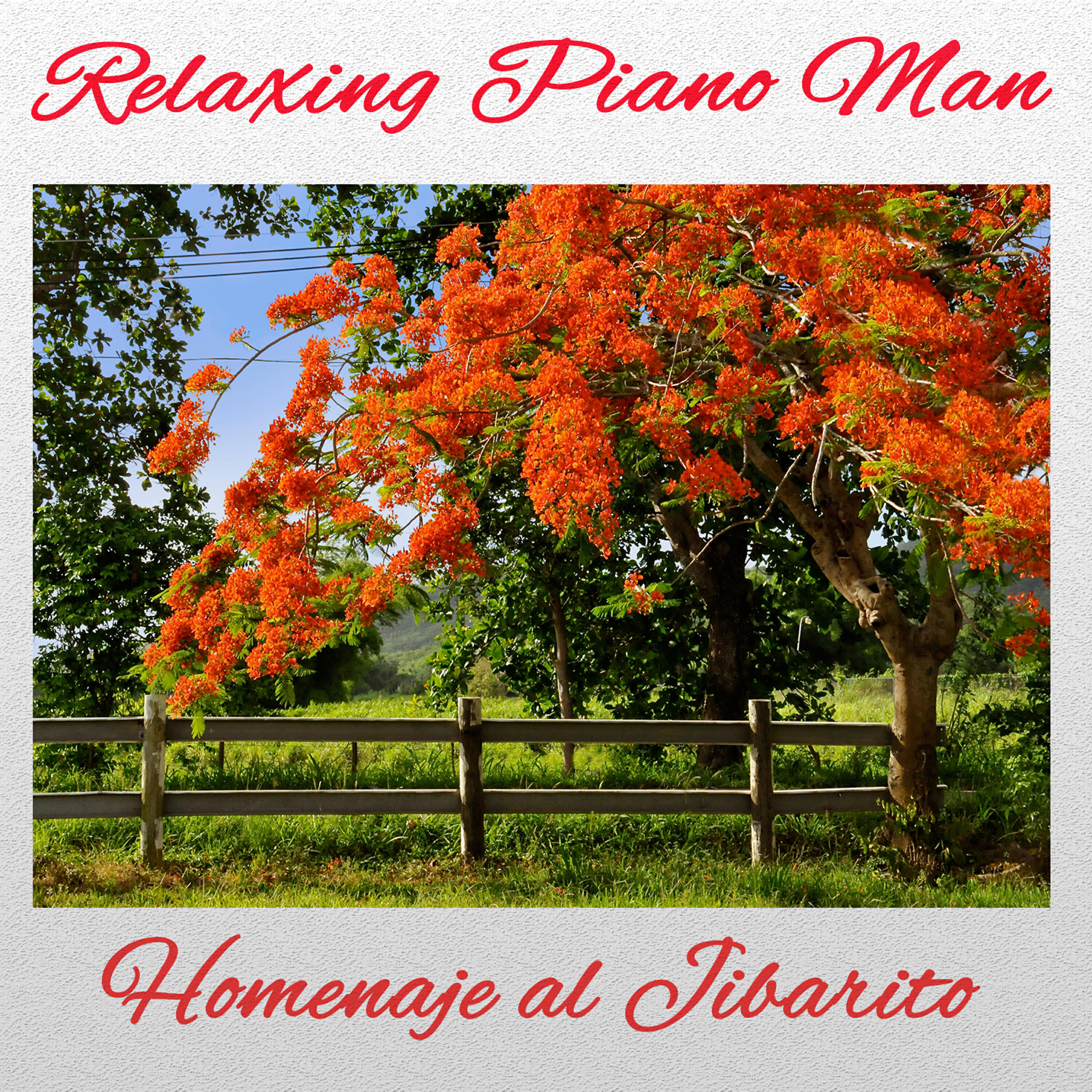 Relaxing Piano Man - Capullito De Aleli (Instrumental)