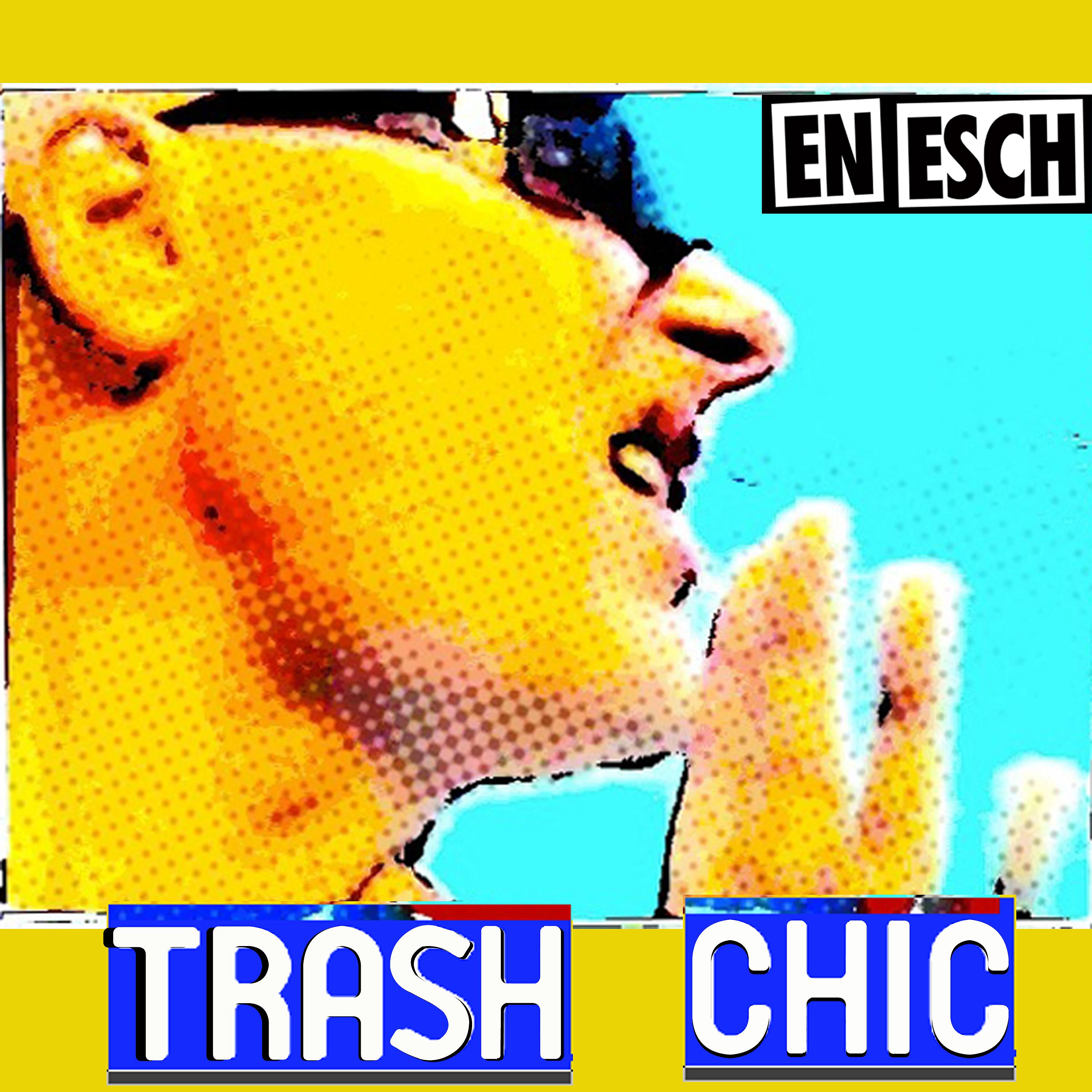 Постер альбома Trash Chic
