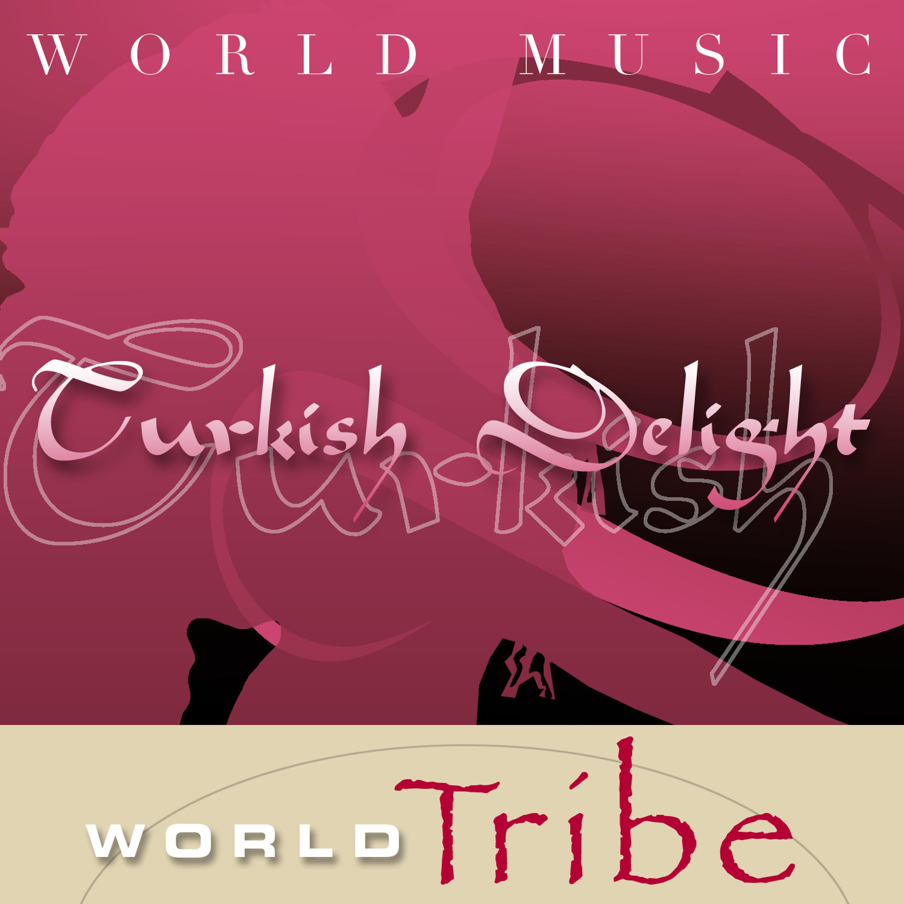 Постер альбома World Music - Turkish Delight
