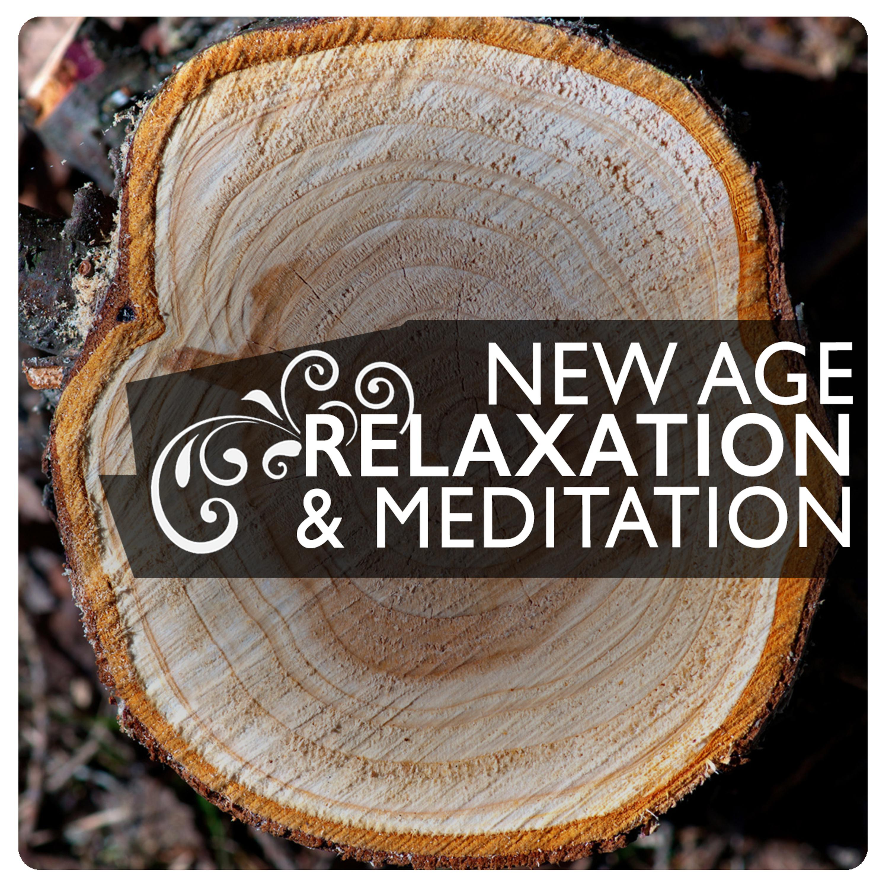Постер альбома New Age Relaxation and Meditation