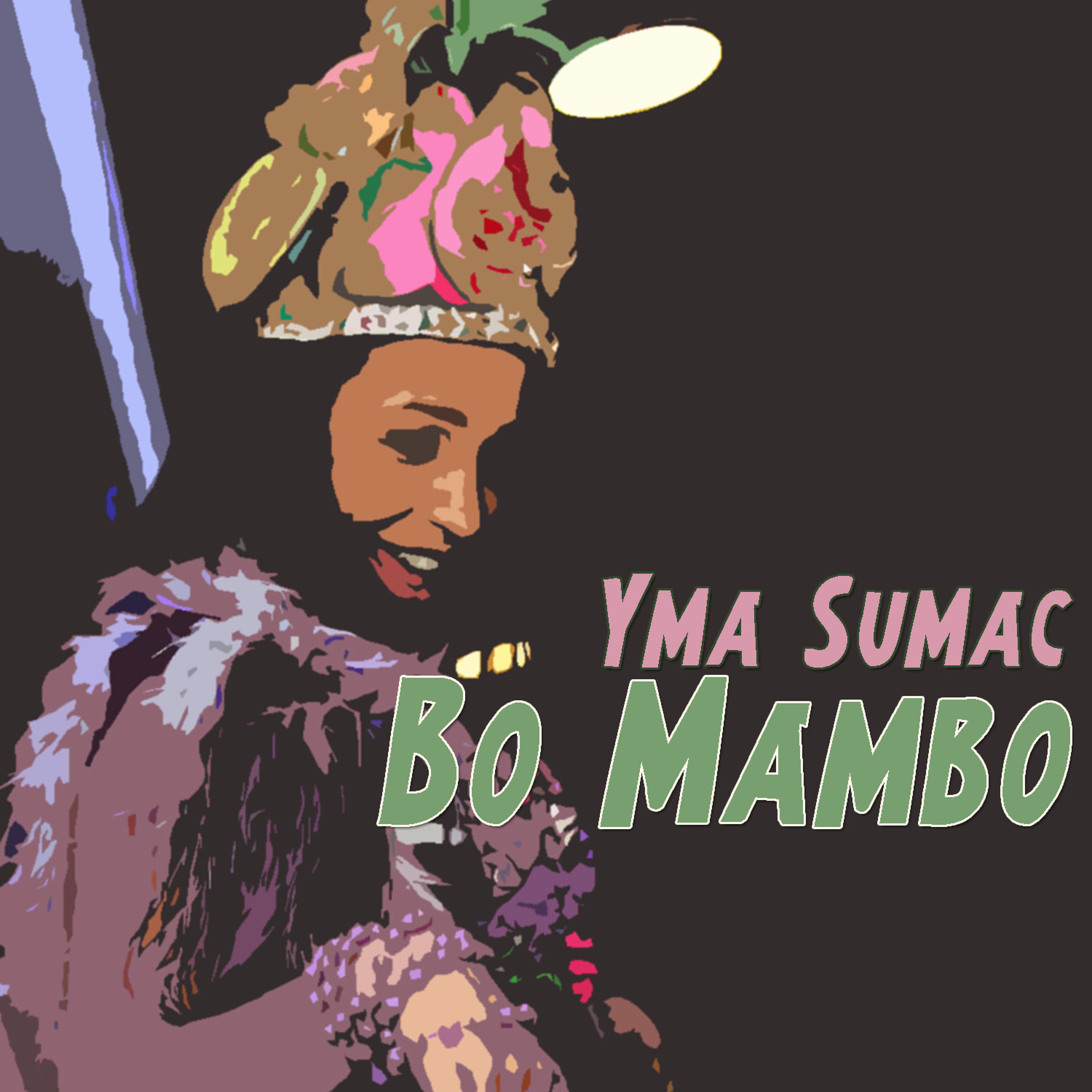 Постер альбома Bo mambo
