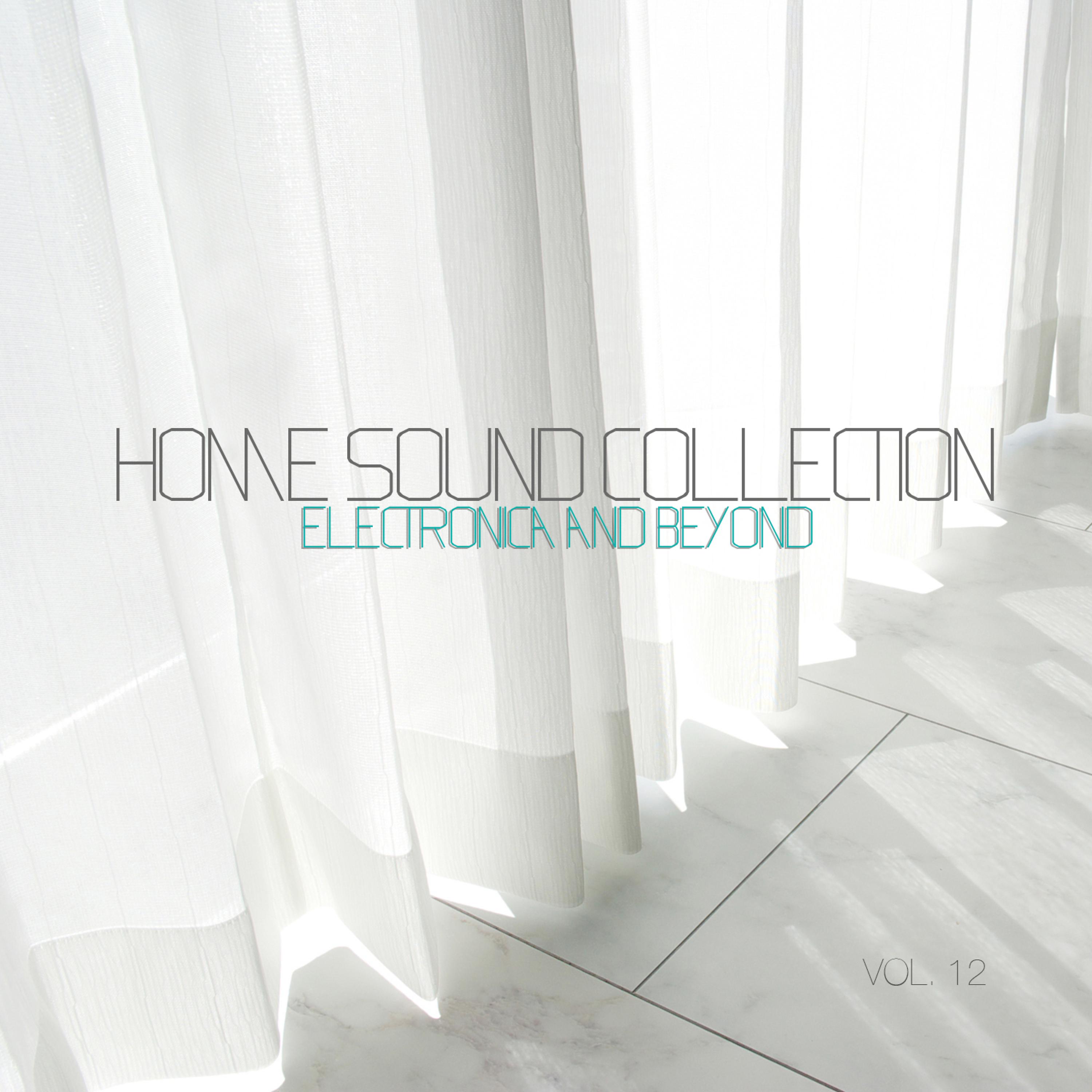 Постер альбома Home Sound Collection: Electronica & Beyond, Vol. 12
