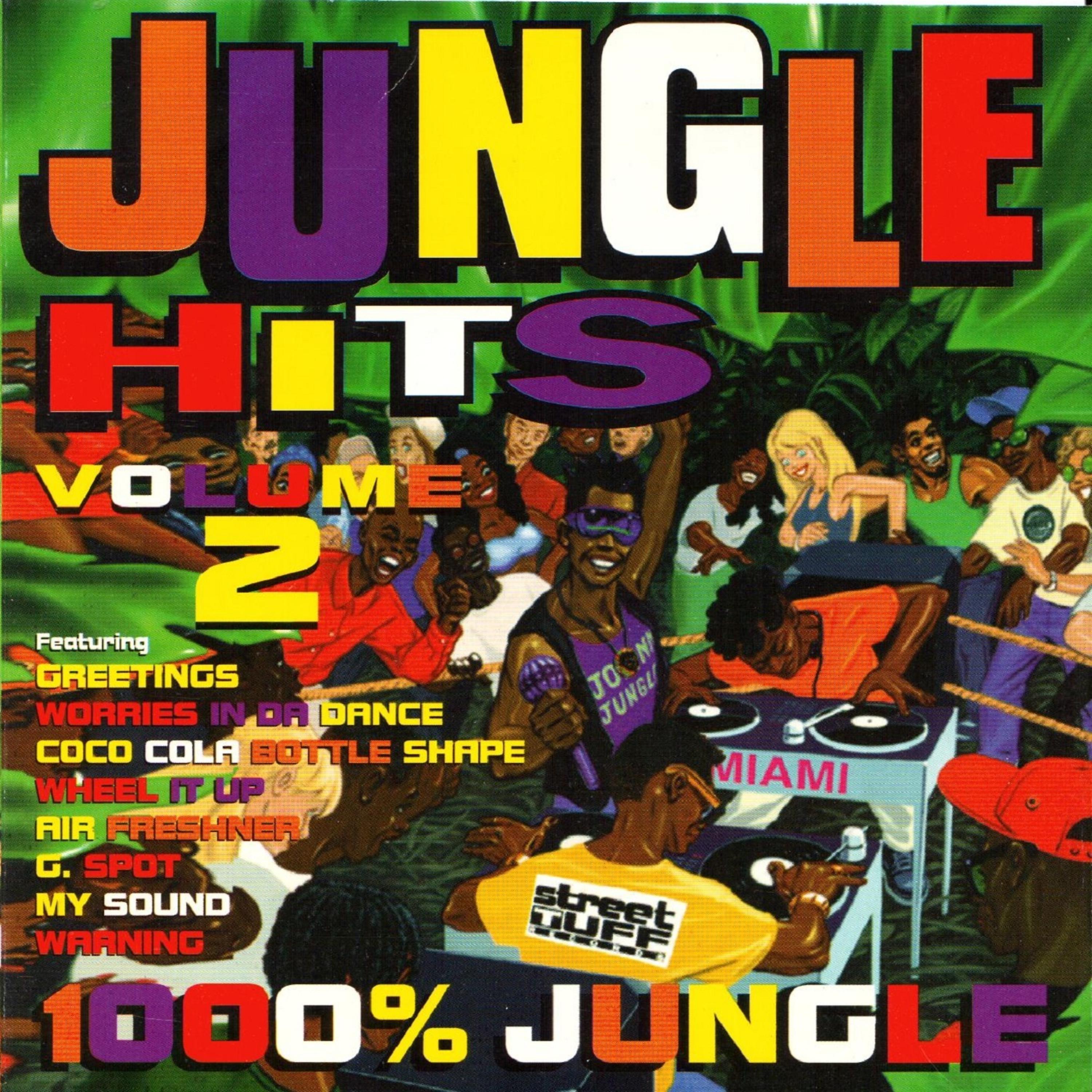 Постер альбома Jungle Hits, Vol. 2