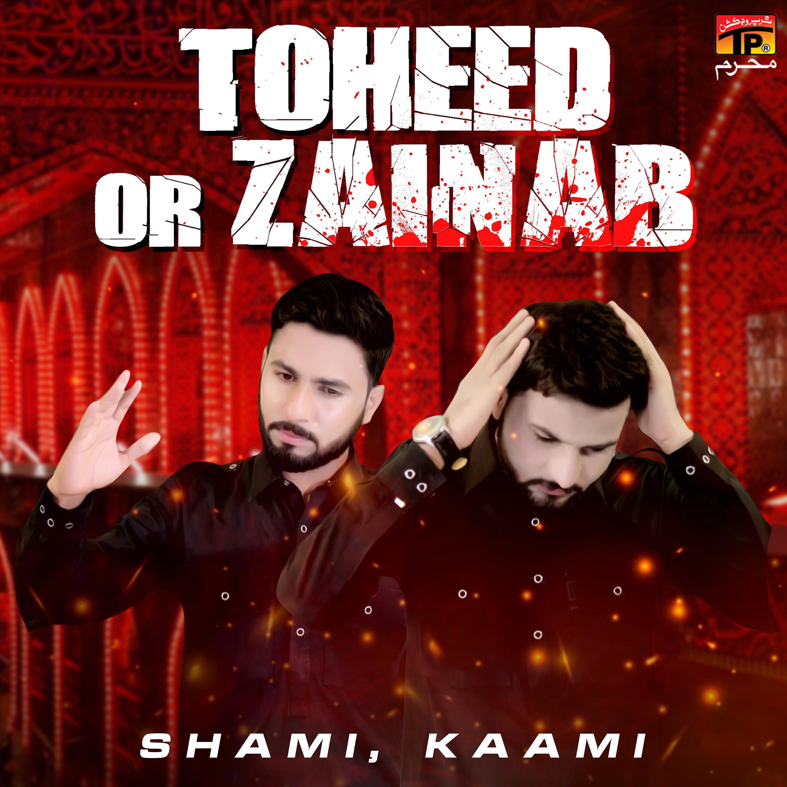 Постер альбома Toheed Or Zainab - Single