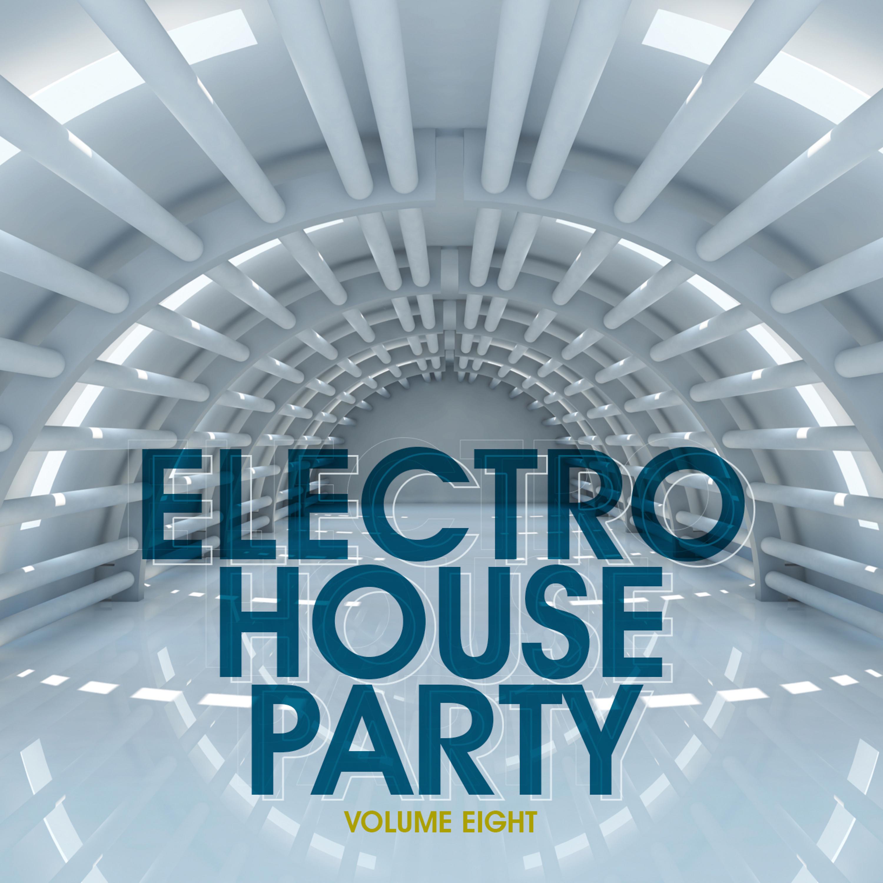 Постер альбома Electro House Party, Vol. 8