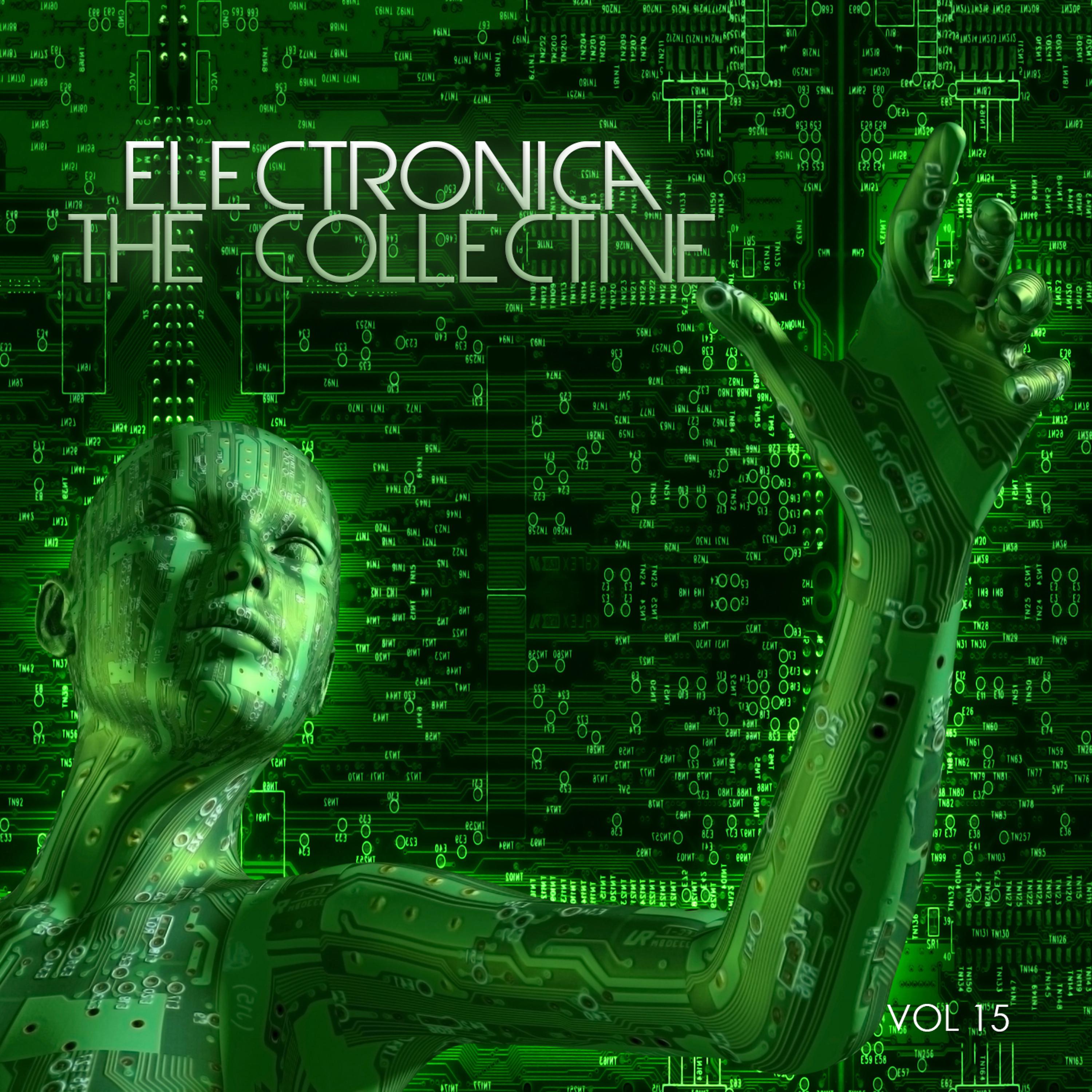 Постер альбома Electronica: The Collective, Vol. 15
