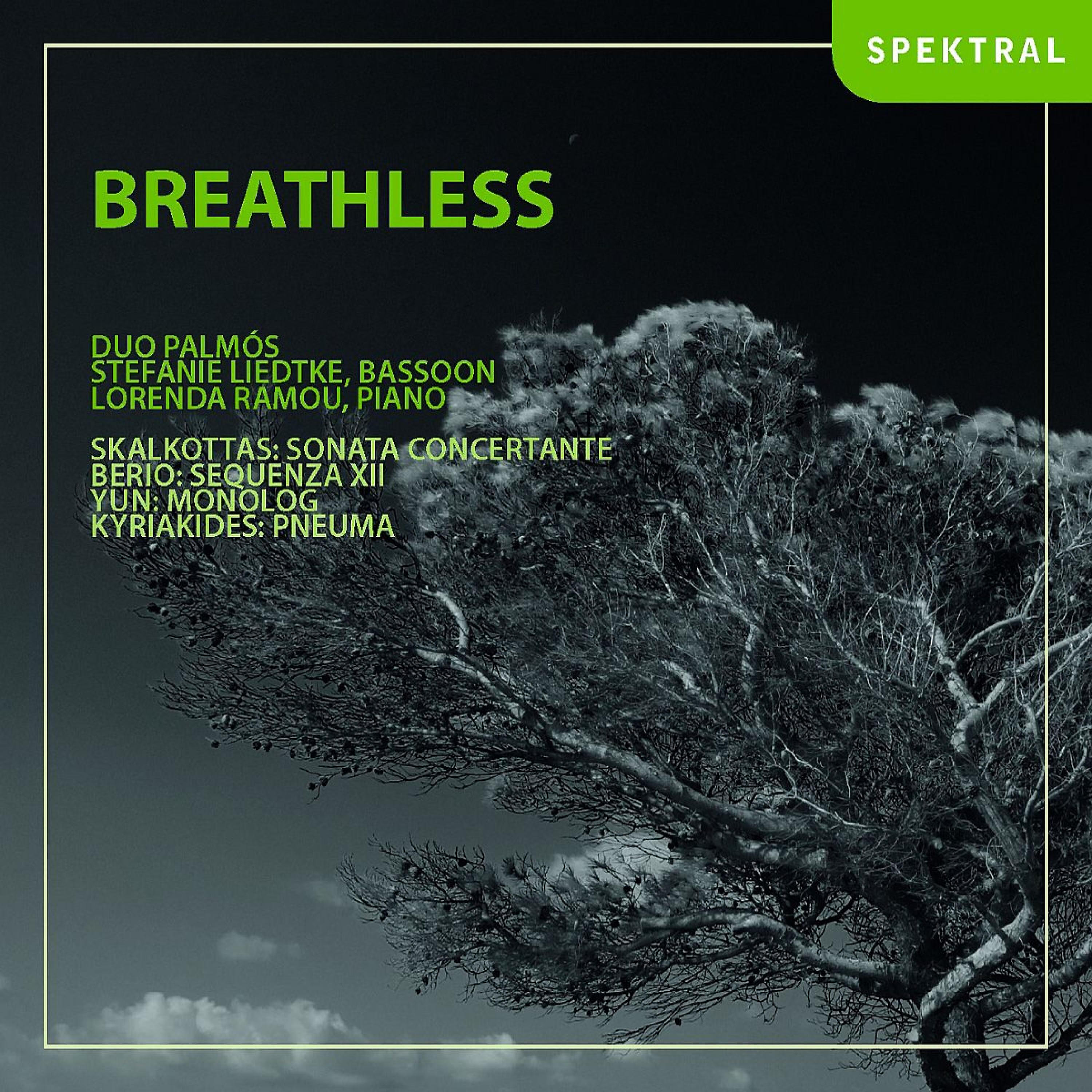 Duo Palmos - Sonata concertante for bassoon and piano: Allegro molto vivace