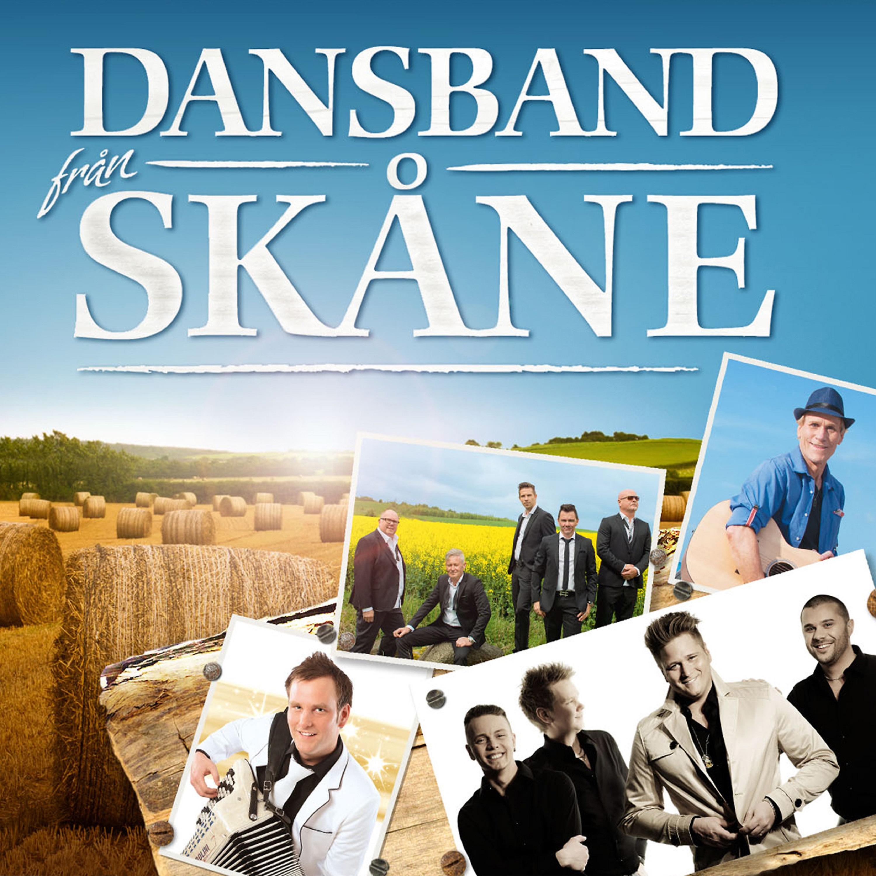 Постер альбома Dansband från Skåne