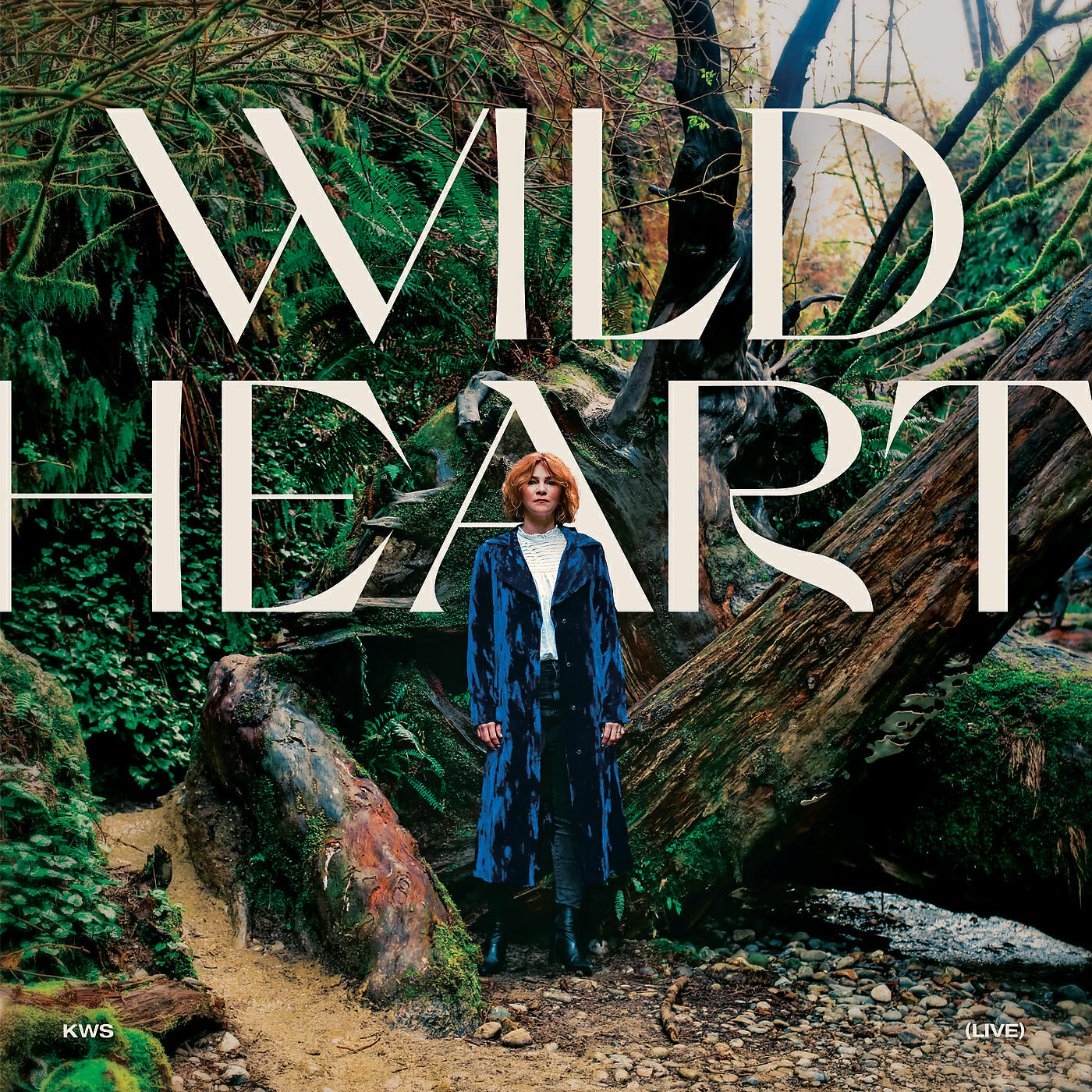 Kim Walker-Smith - Come Through (Live)