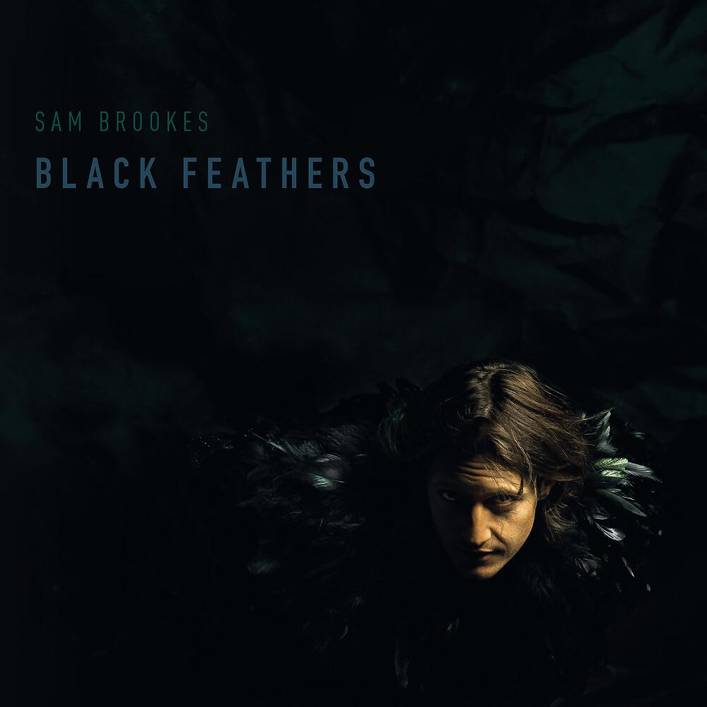 Постер альбома Black Feathers