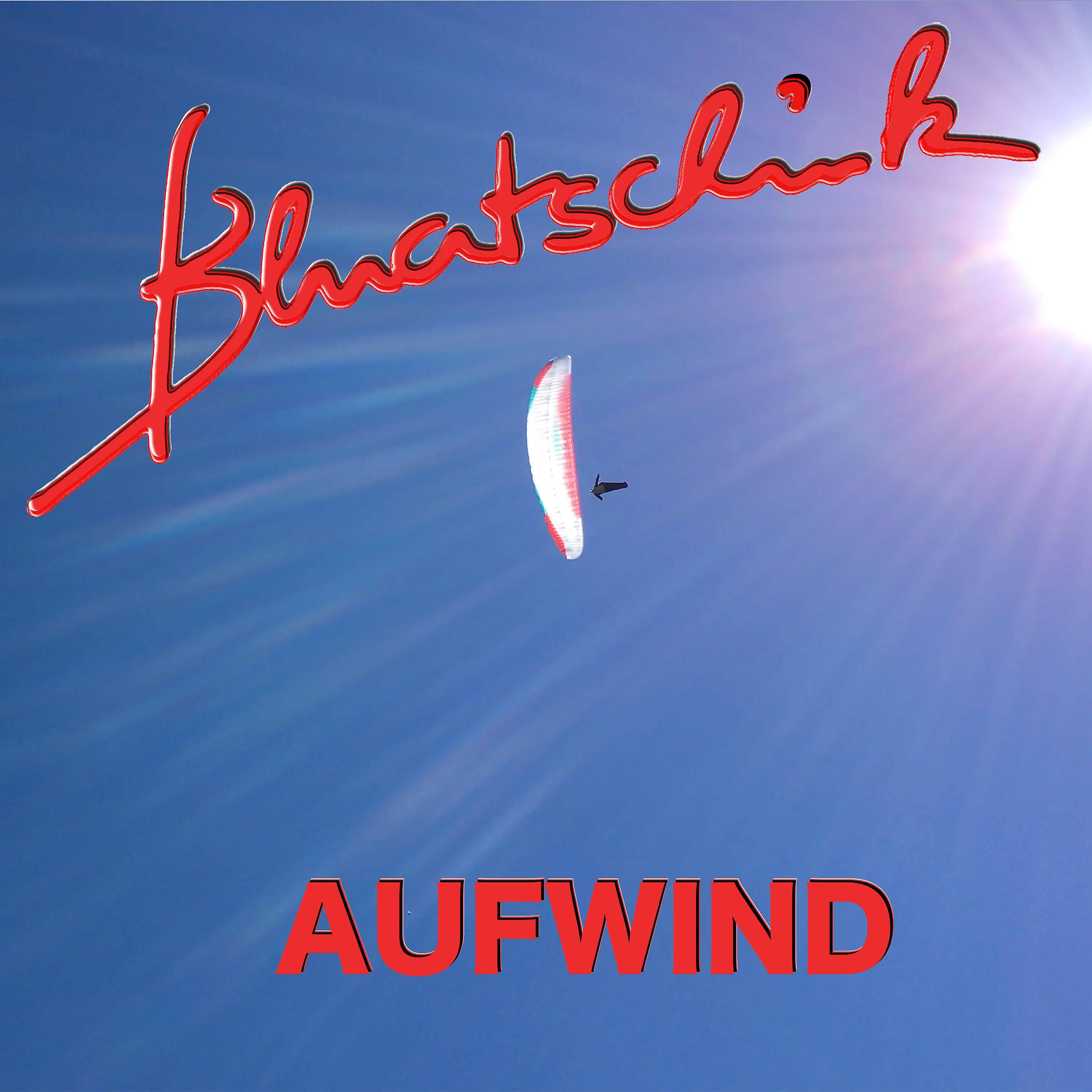 Постер альбома Aufwind