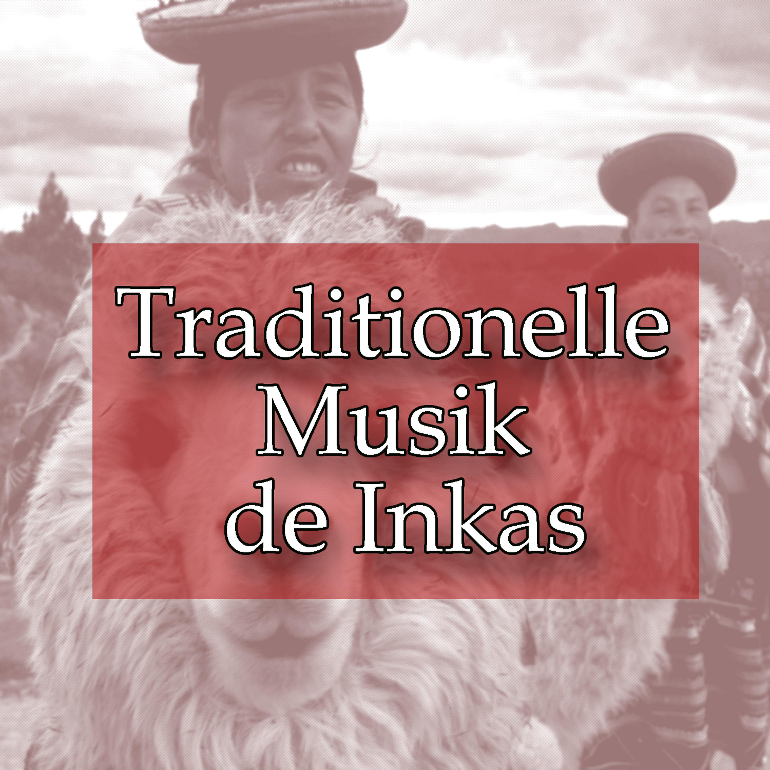 Постер альбома Traditionelle Musik de Inkas