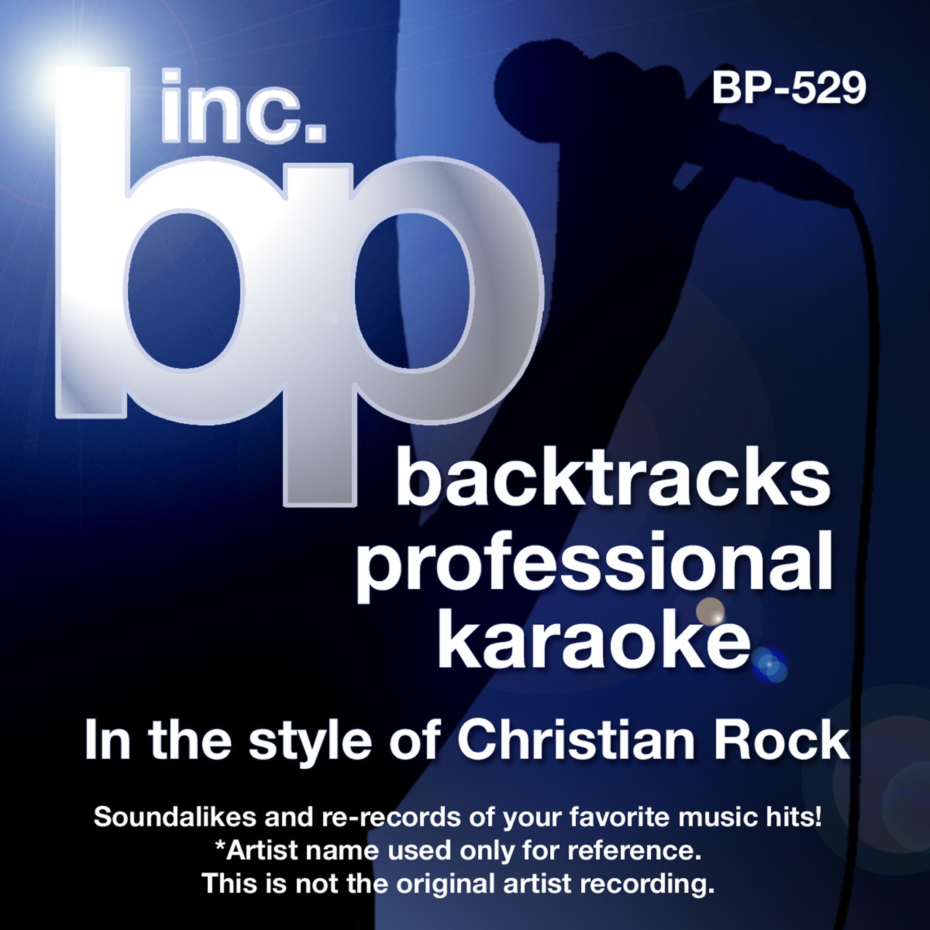 Постер альбома Karaoke - In the Style of Christian Rock (Karaoke Version)