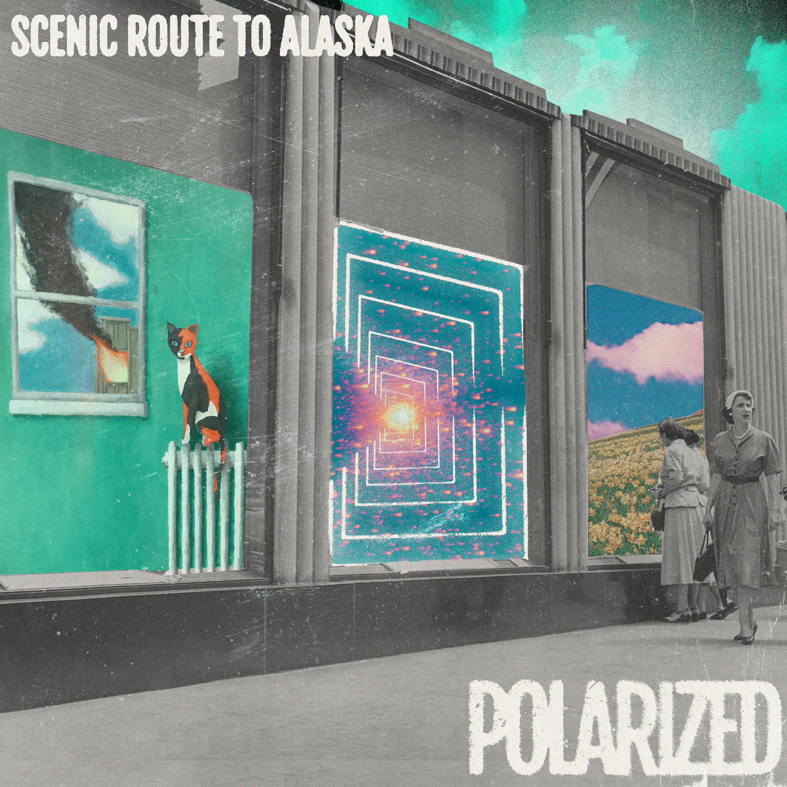 Постер альбома Polarized