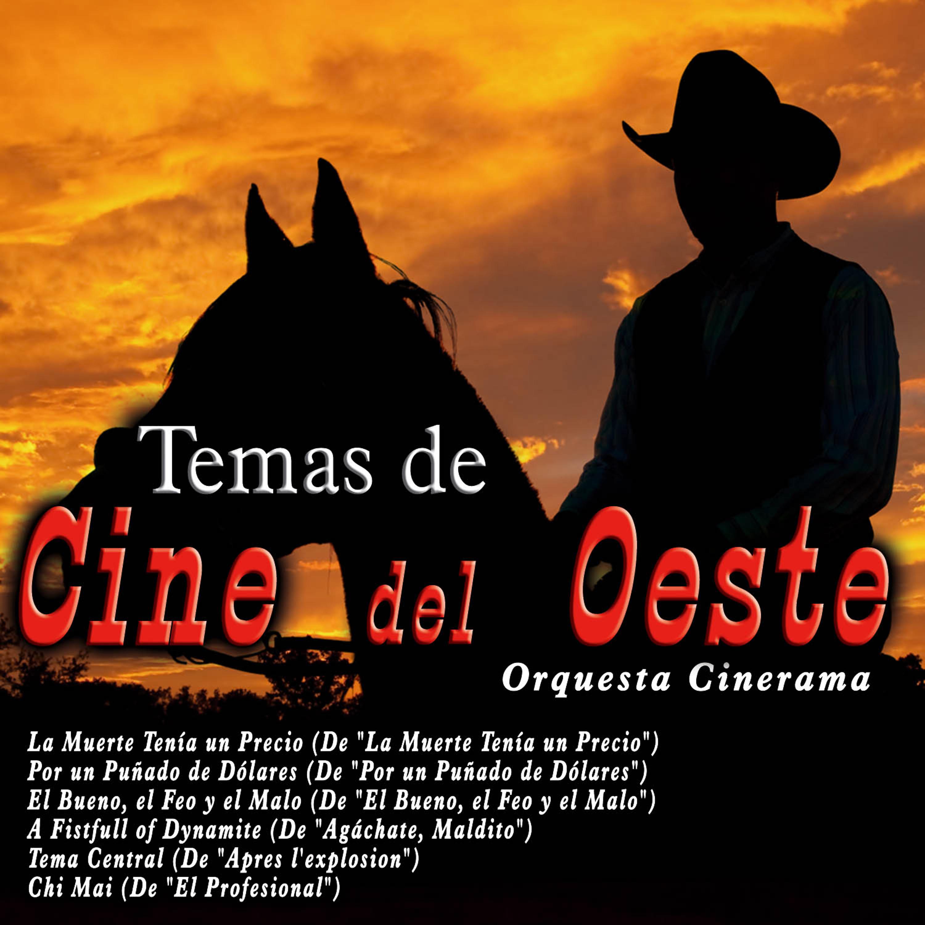 Постер альбома Temas de Cine del Oeste