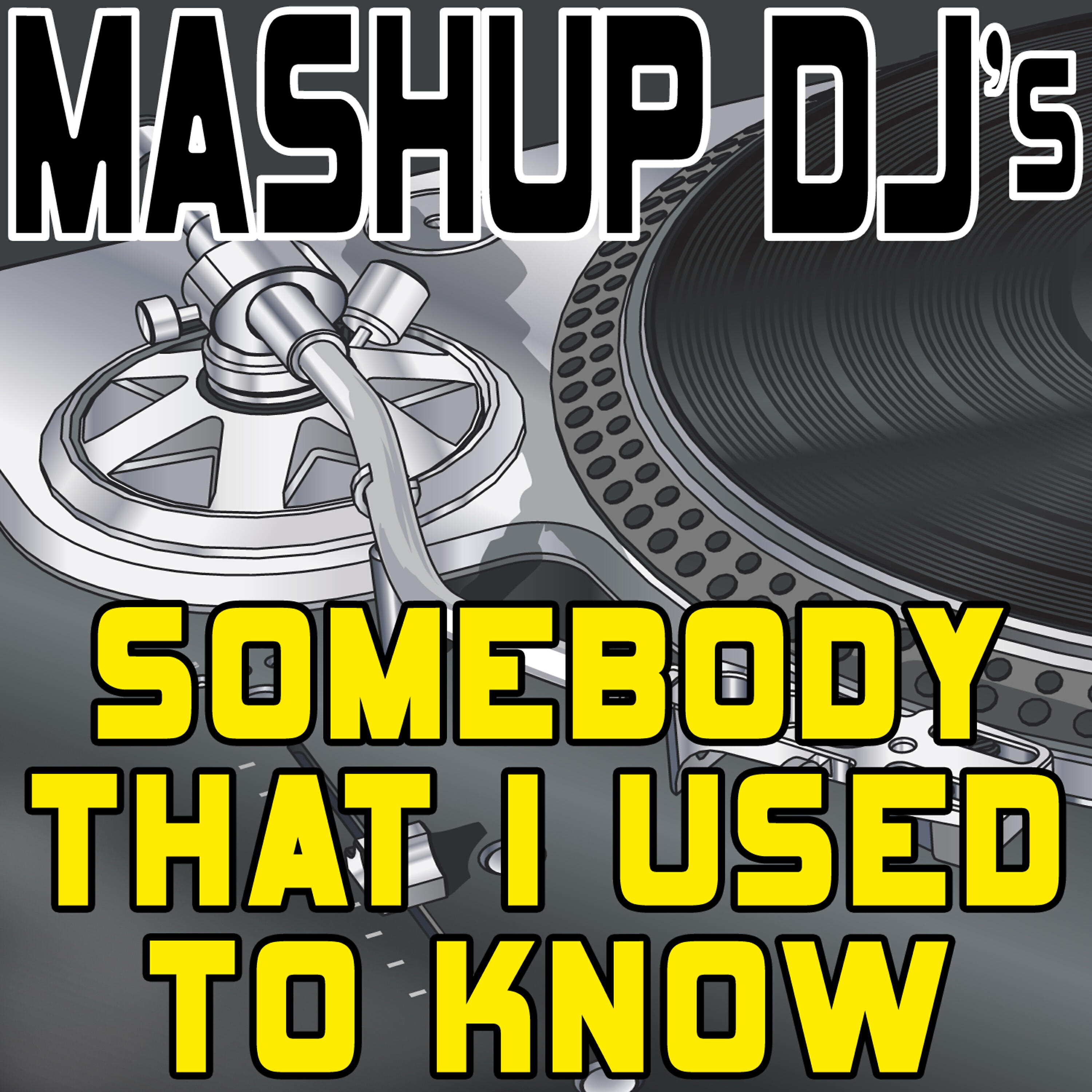 Mashup DJ's - Somebody That I Used to Know (Acapella Mix) [Re-Mix Tool]