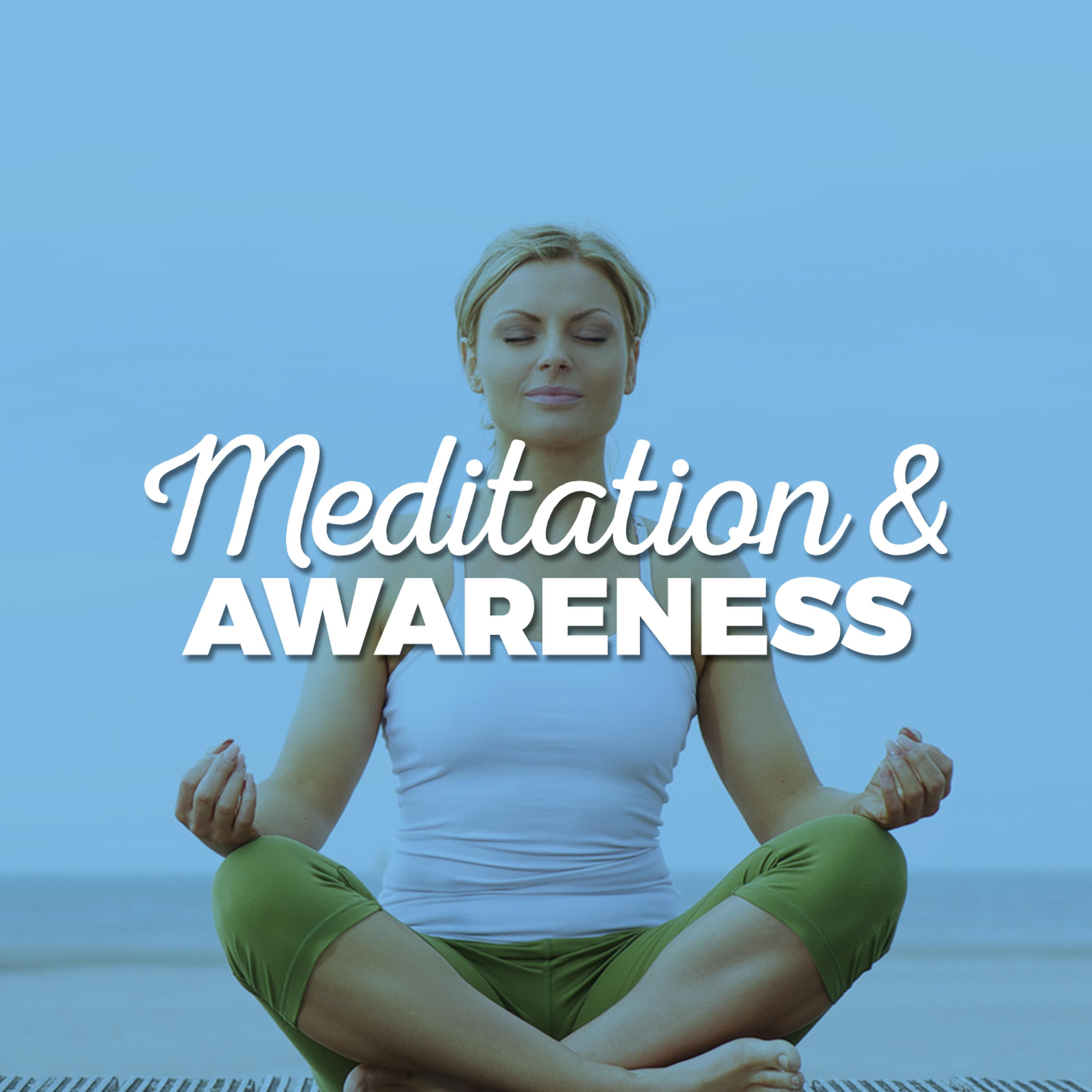 Постер альбома Meditation & Awareness