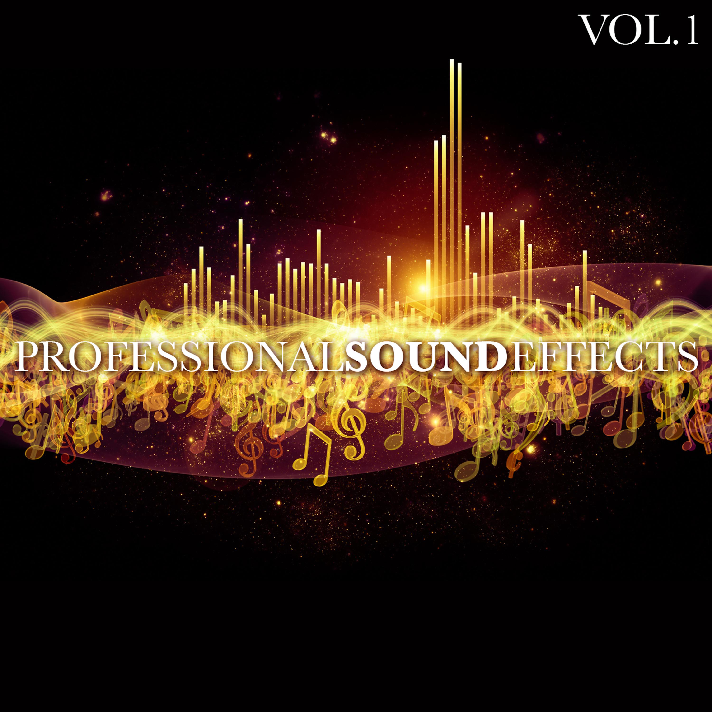 Постер альбома Professional Sound Effects Vol. 1
