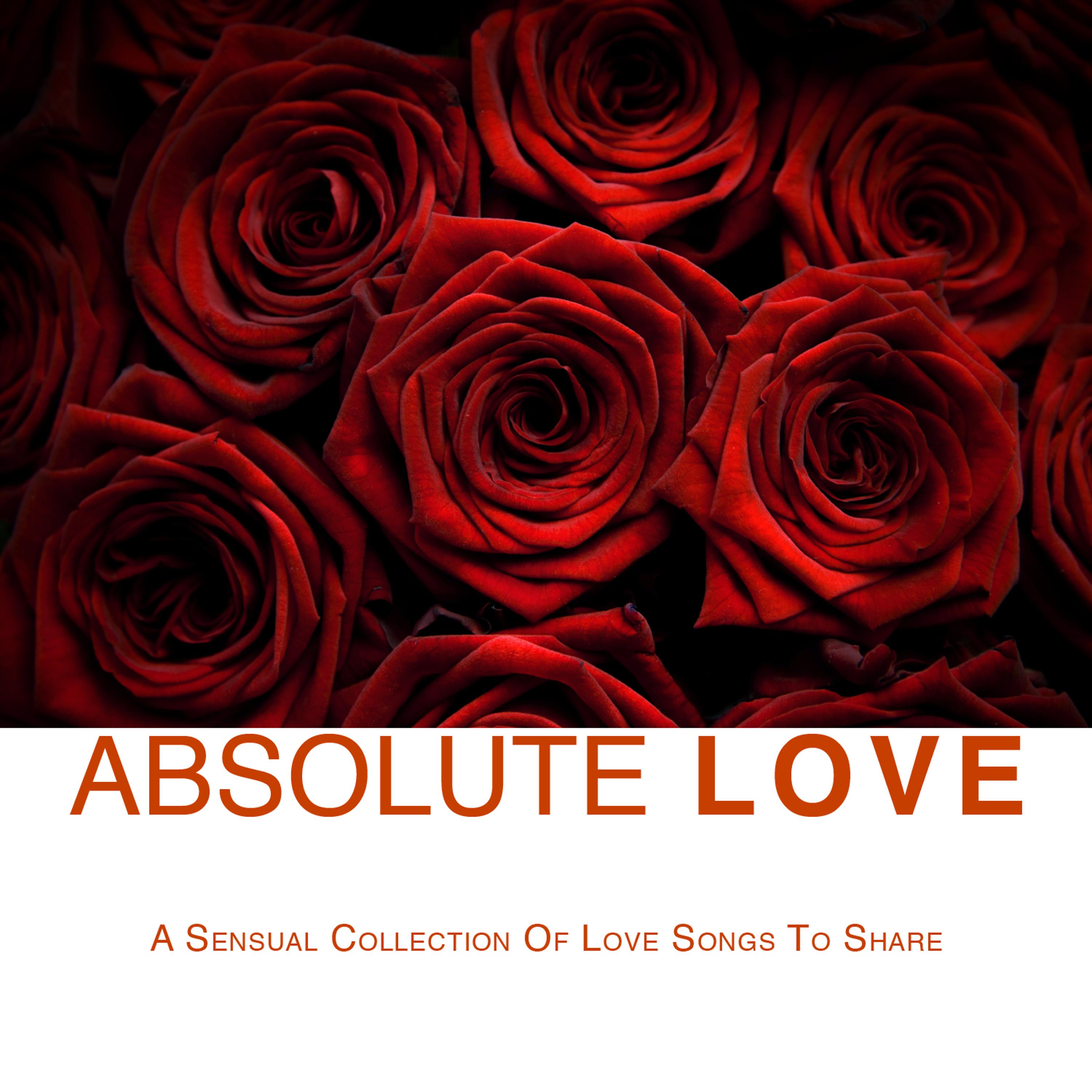 Постер альбома Absolute Love