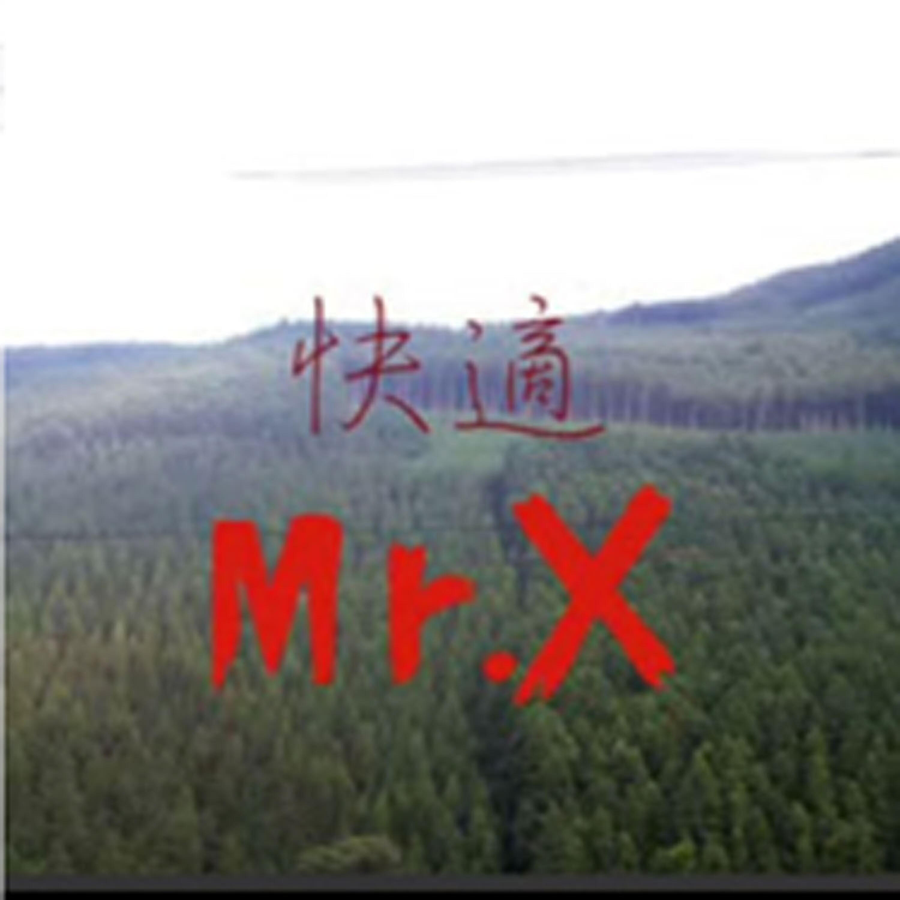Mr. X - Holiday