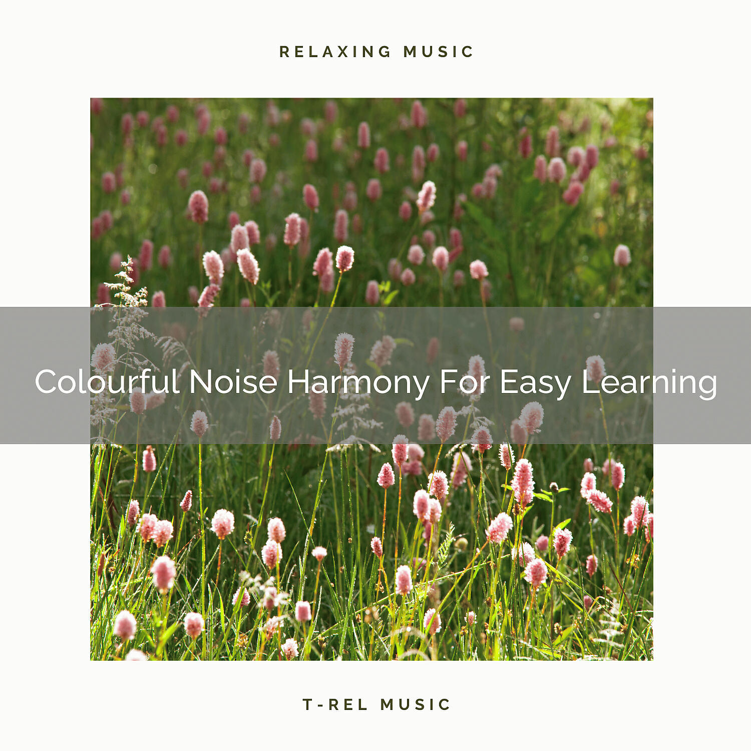 Ambient Nature White Noise - Pink Noise Harmony For Easy Learning