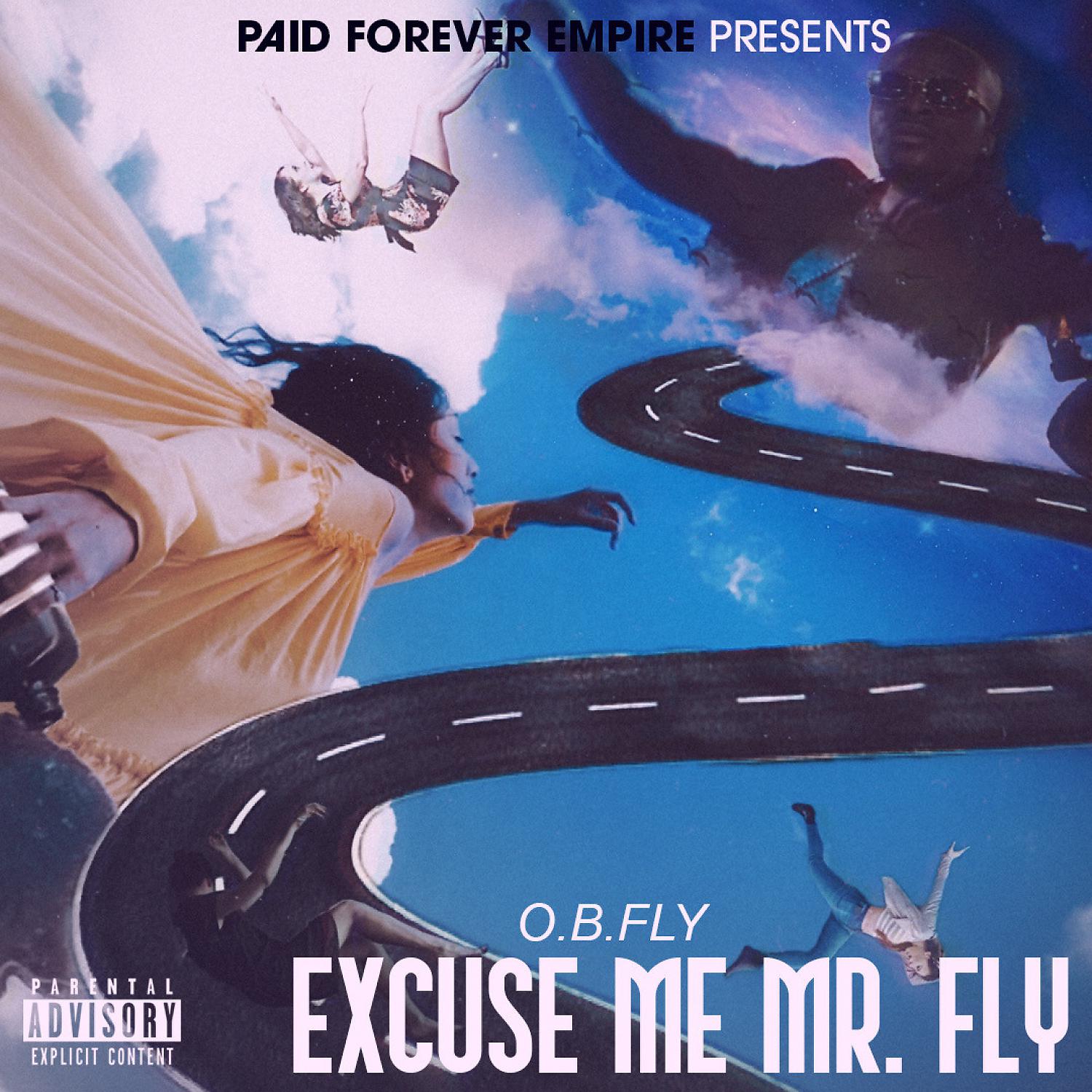 Постер альбома Excuse Me Mr Fly