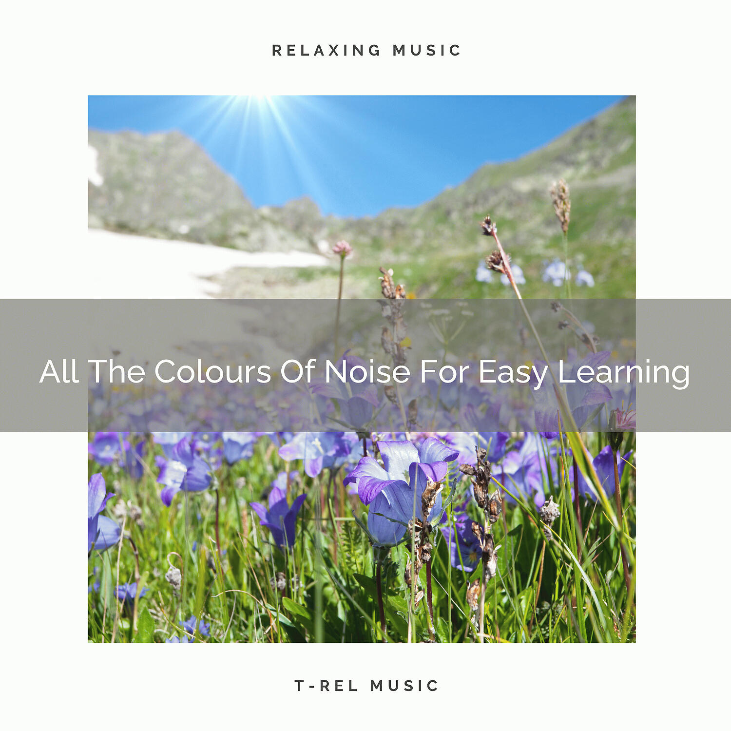 The White Noise Zen - White The Colours Of Noise For Easy Learning