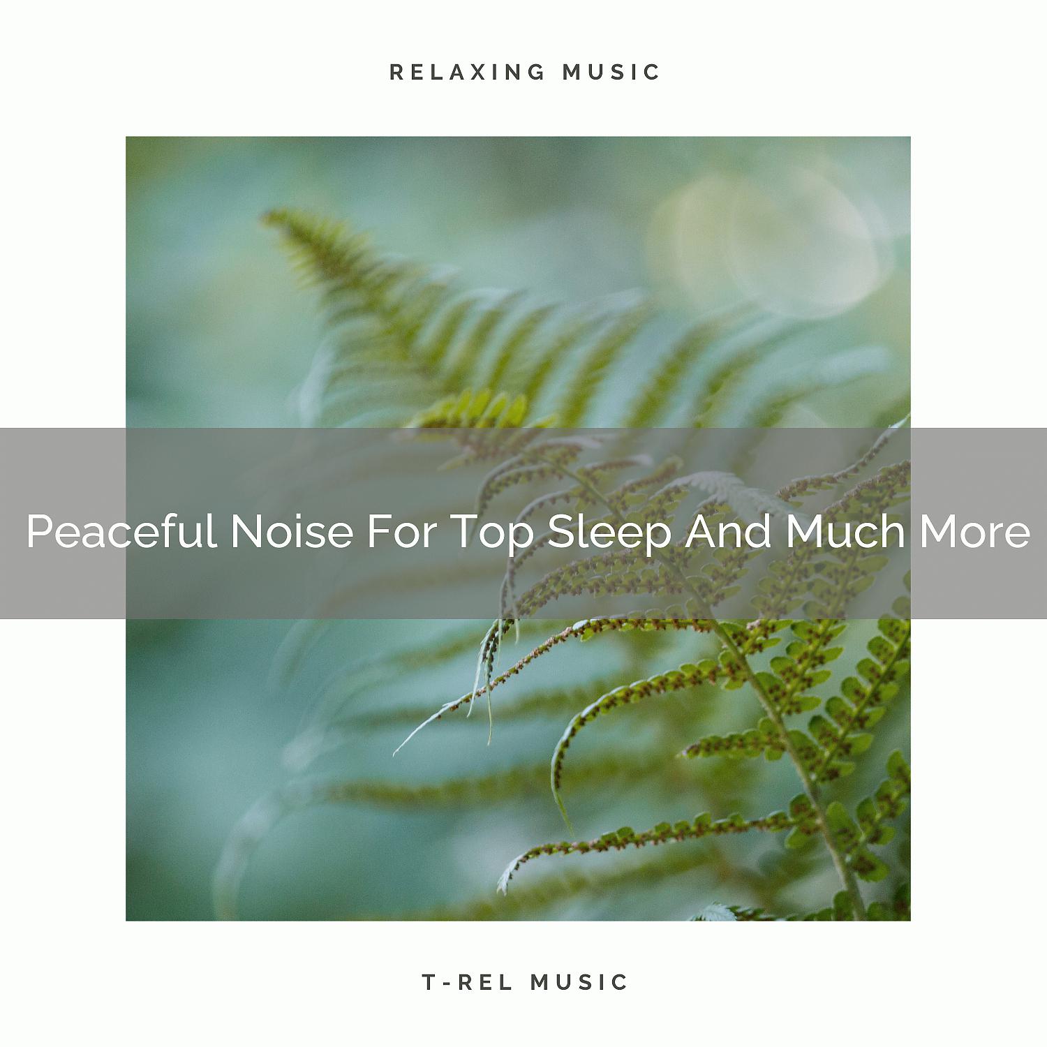 Постер альбома Peaceful Noise For Top Sleep And Much More