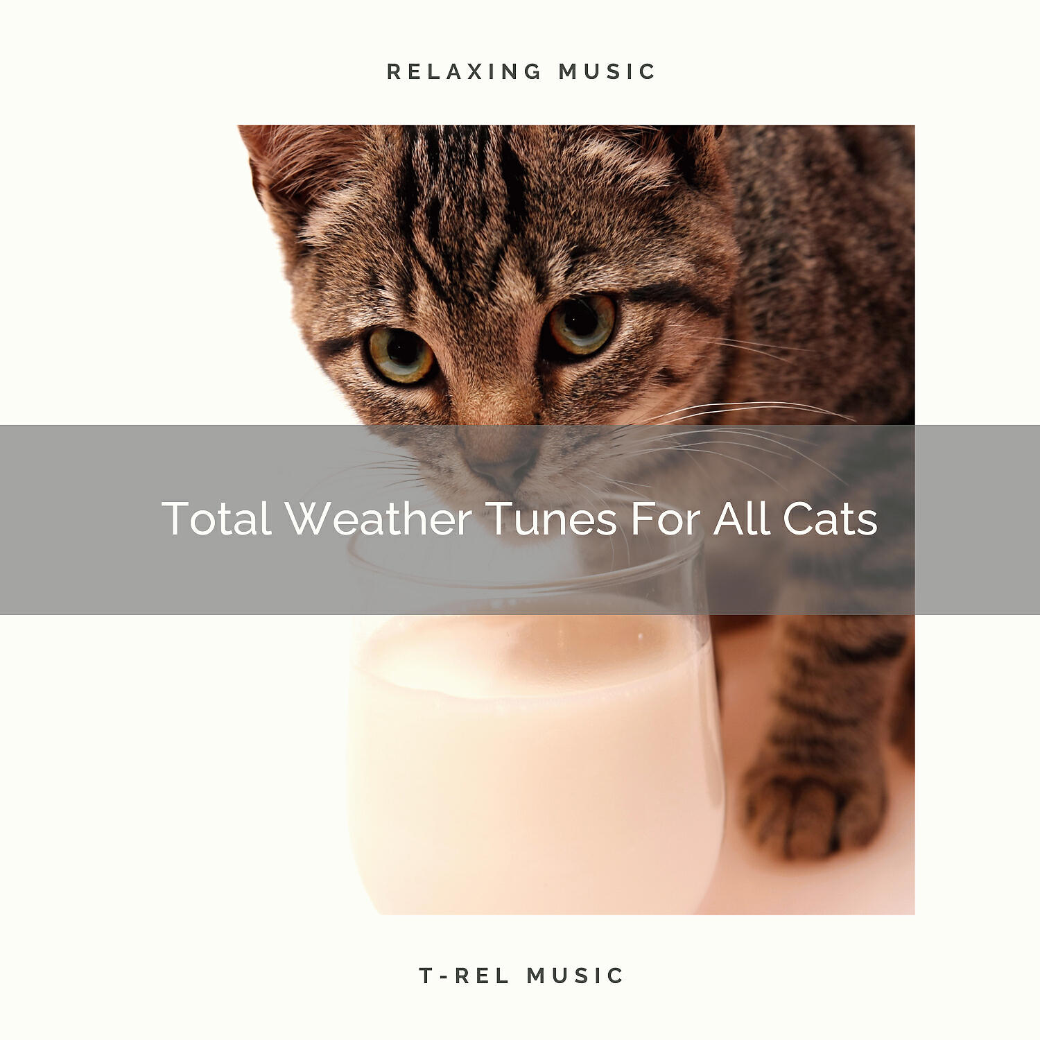 Cat Total Relax - Calming Waves Tunes For Dearest Cats