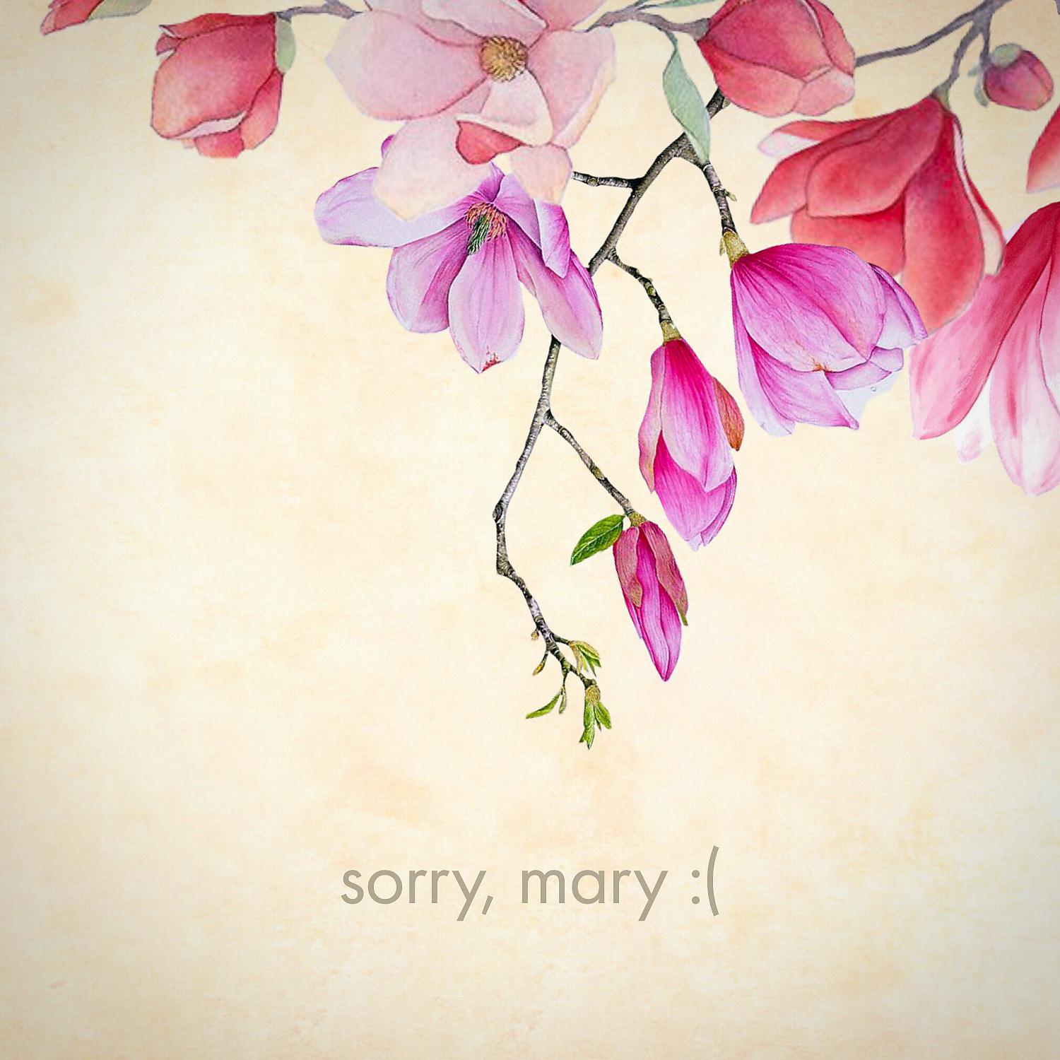 Постер альбома sorry, mary :(