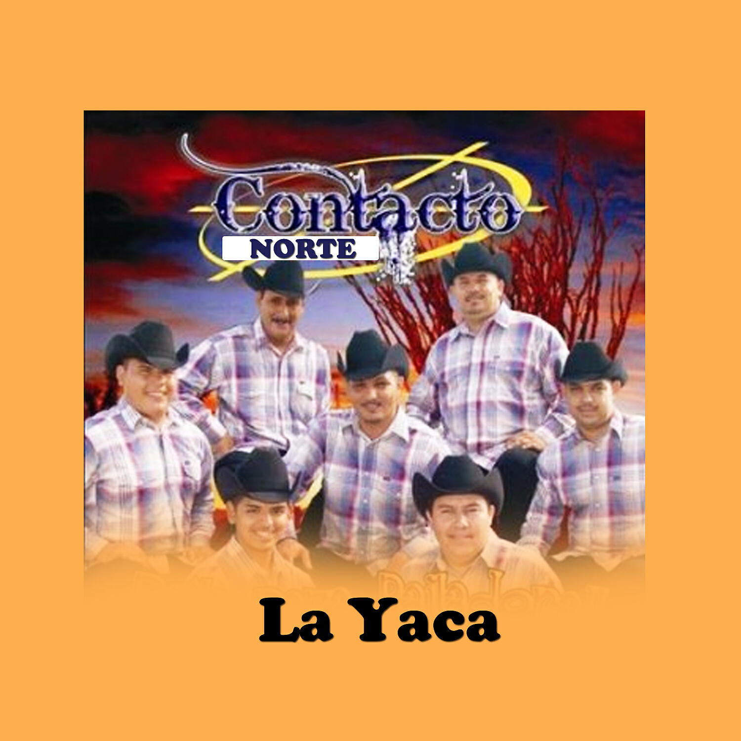 Contacto Norte - La Yaca