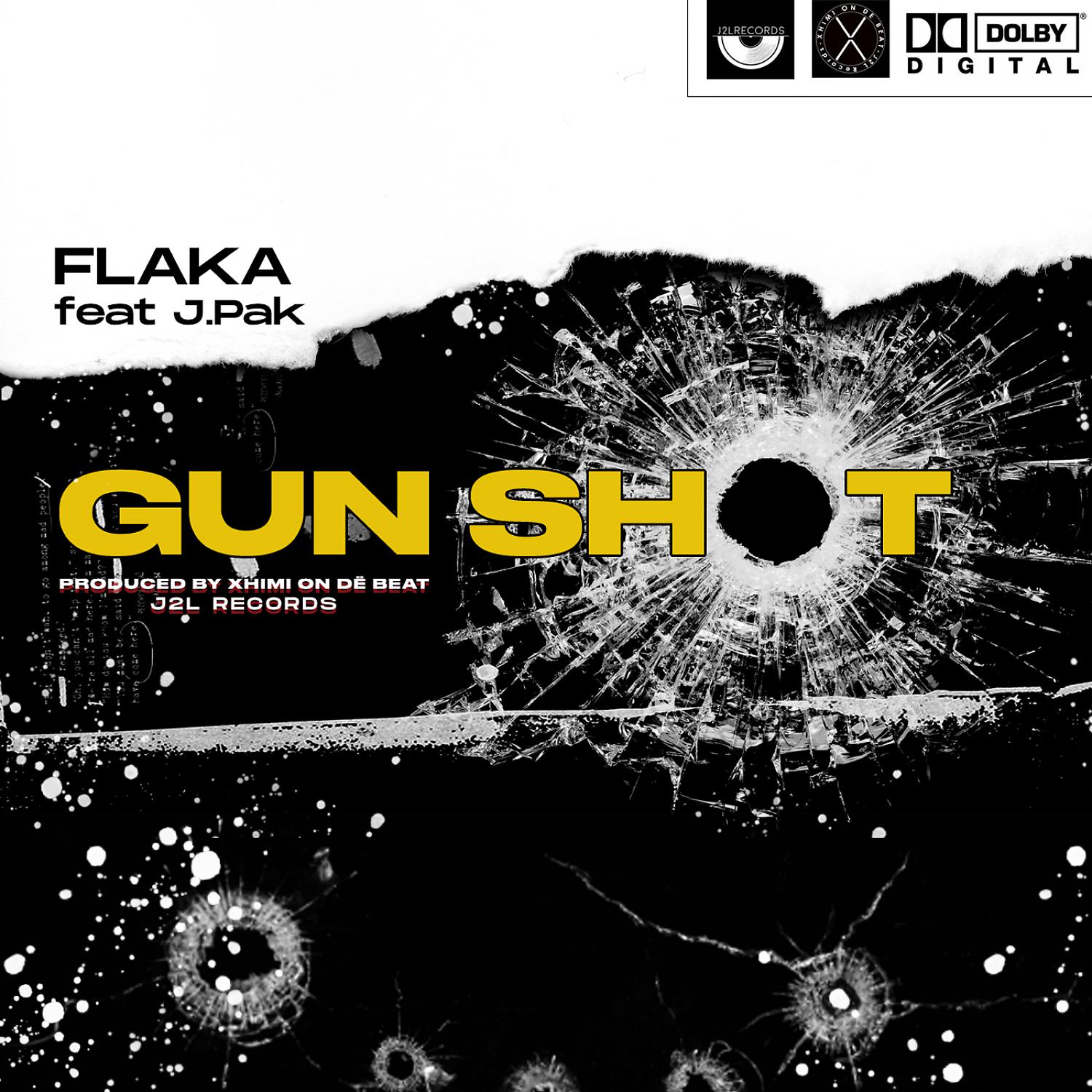 Постер альбома Gun Shot (feat. J.Pak)