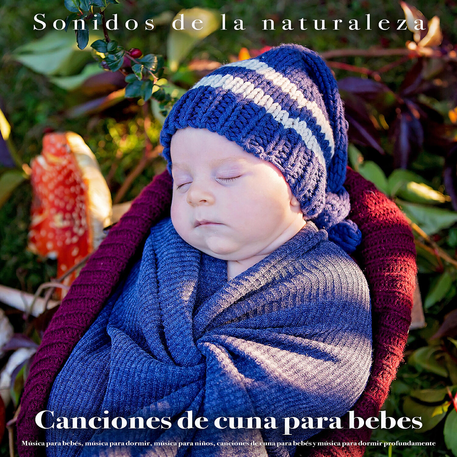 Canciones Infantiles Para Niños - Música para dormir para bebés y sonidos de aves - Sueño profundo