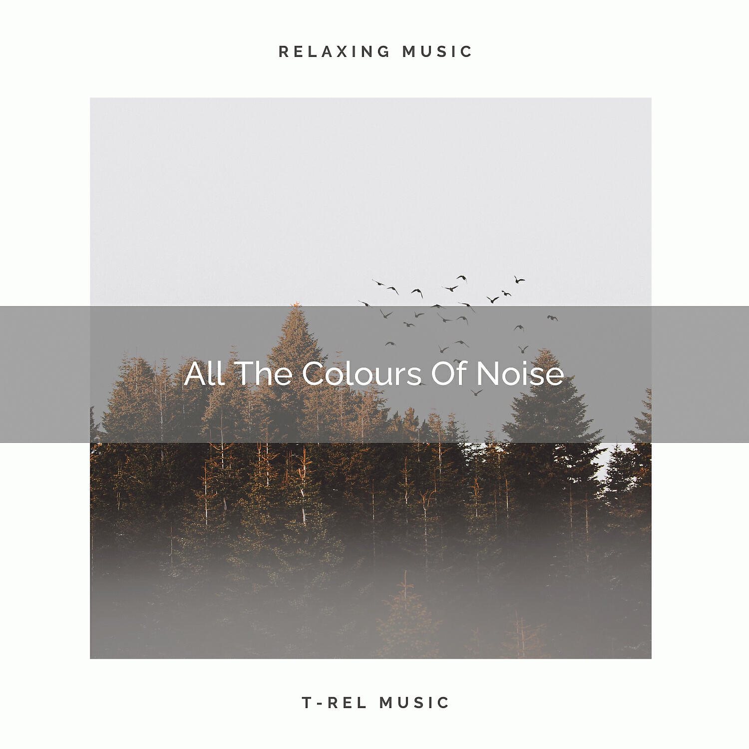 Vacuum Cleaner White Noise - White The Colours Of Noise