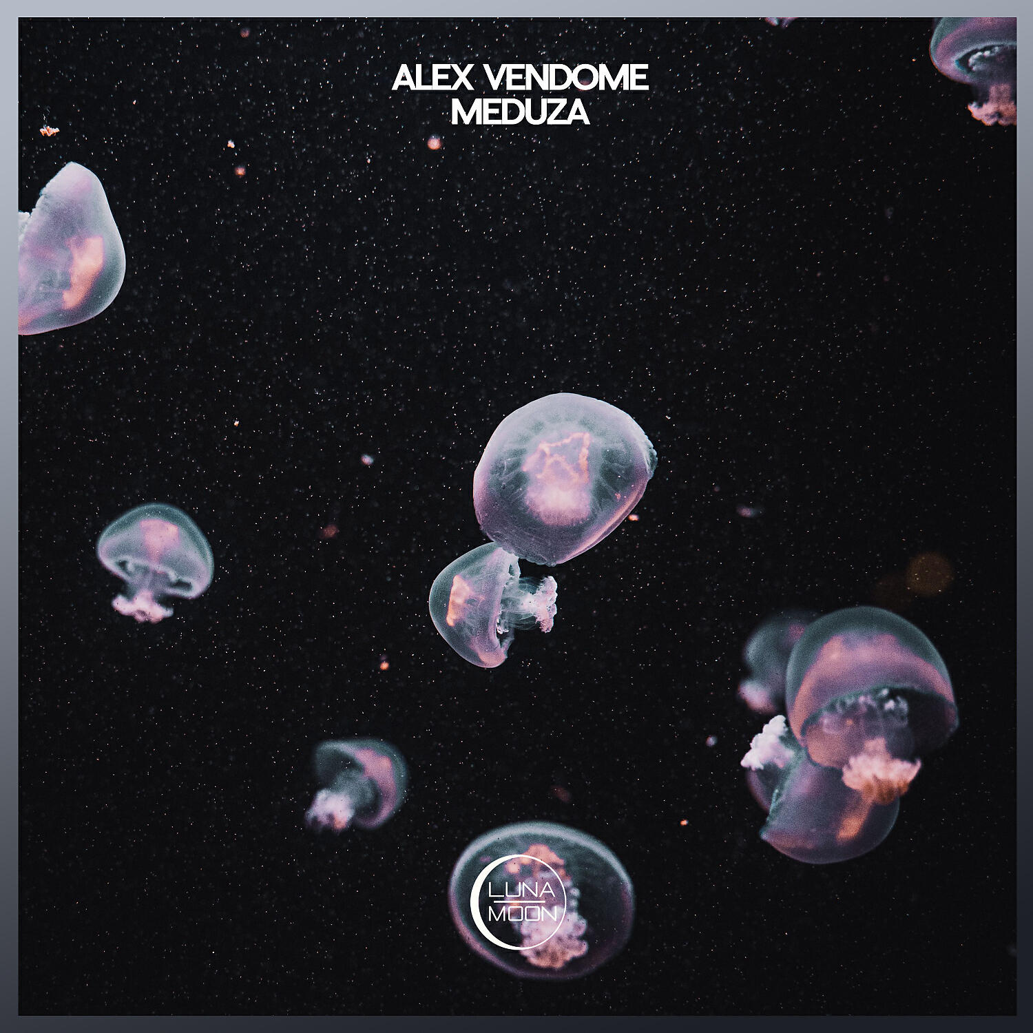 Alex Vendome - Meduza