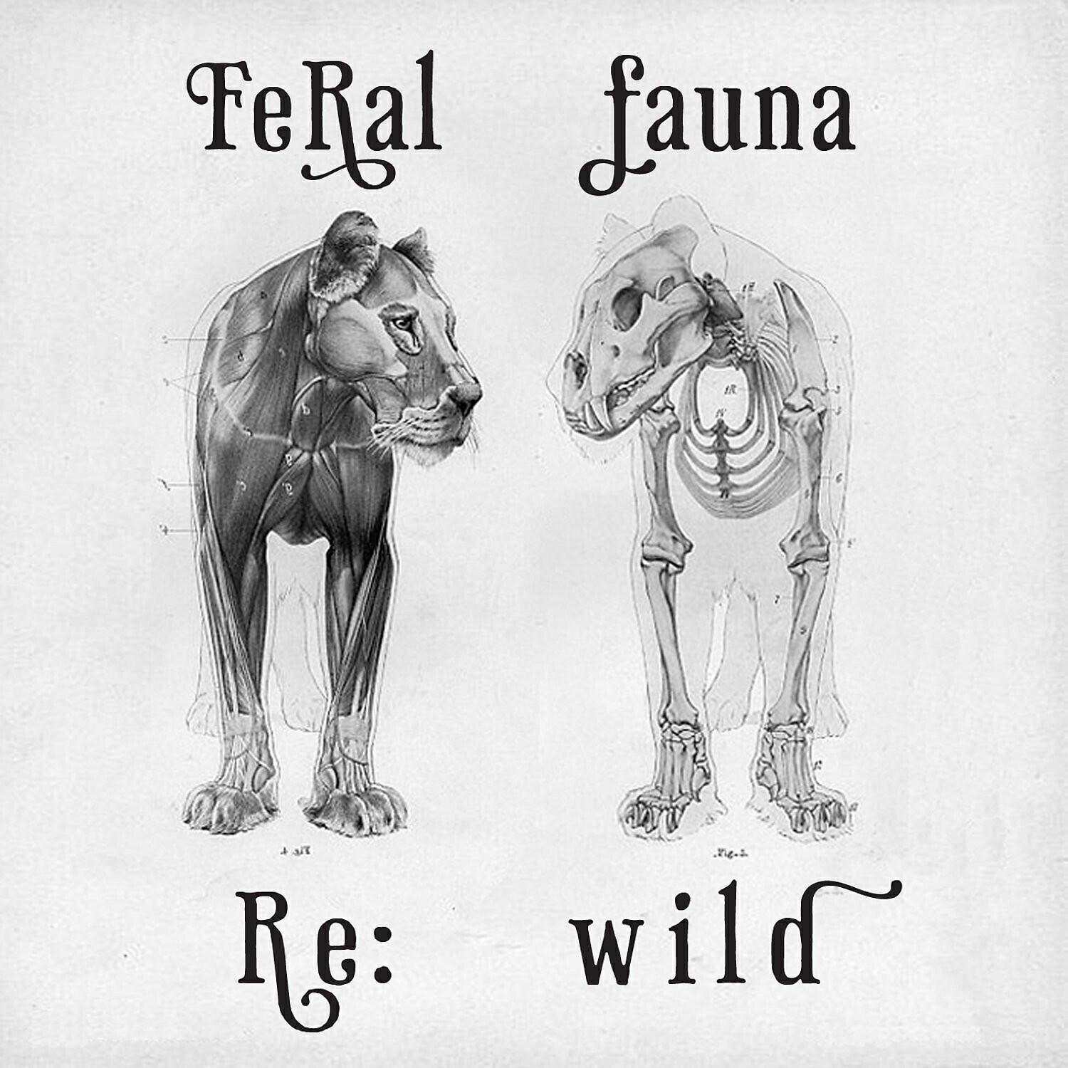 Feral Fauna - Oh My (feat. KR3TURE & Heather Christie)