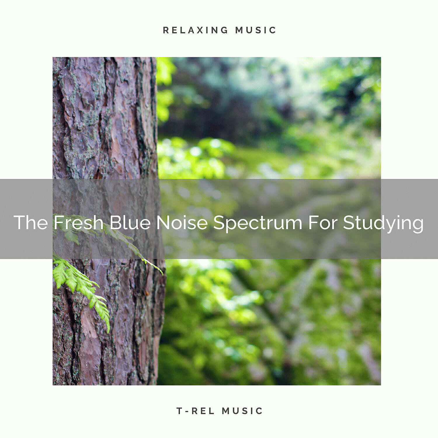 White Noise Hour - The Fresh Blue Noise Spectrum For Espresso Nap